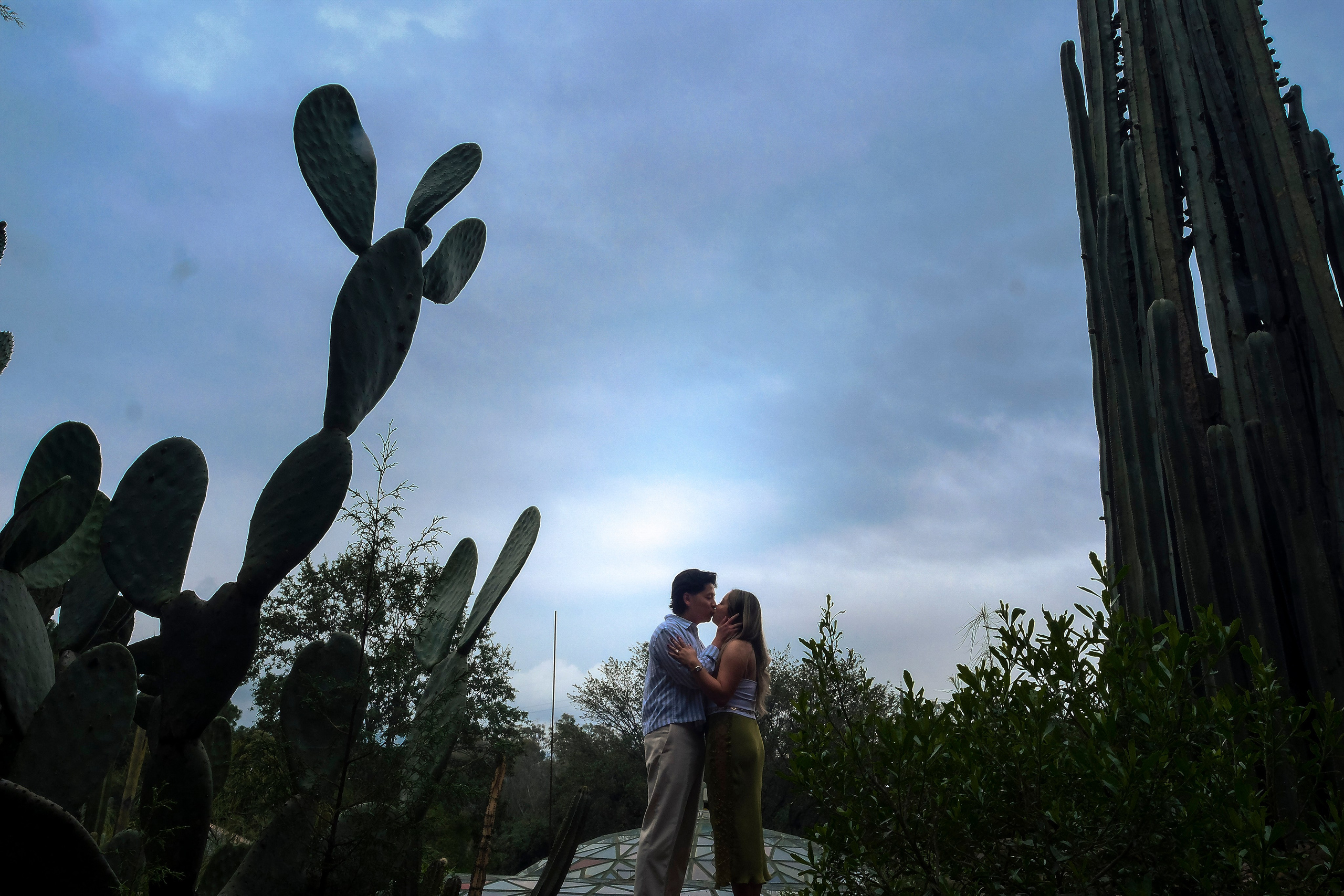 Tedy & Taylor. Wedding and family photographer in Mexico City