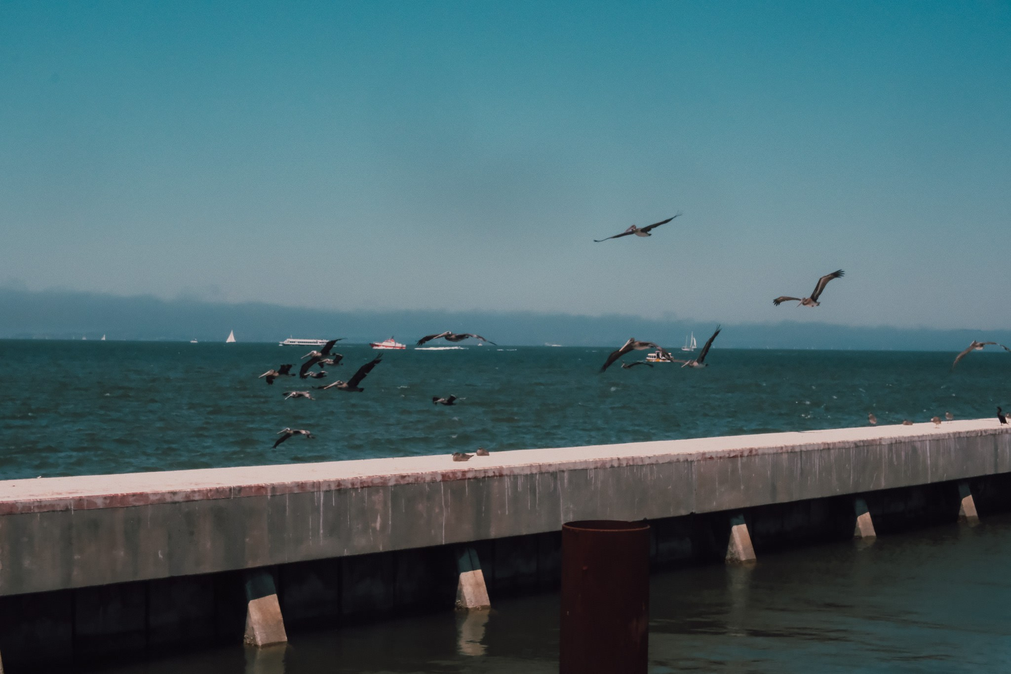 Rosy & Erik / San Francisco. Wedding and family photographer in Mexico City