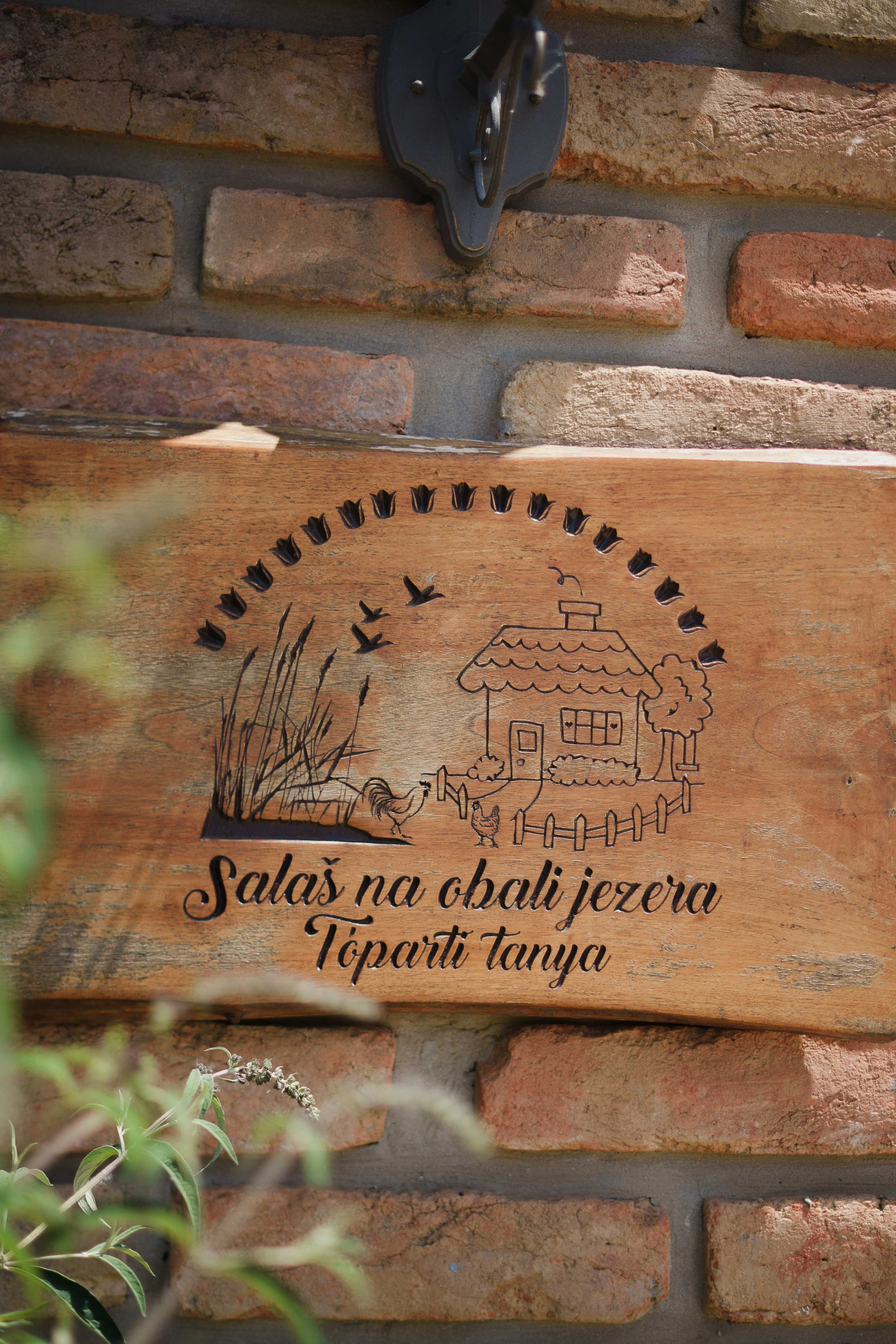 FiveTran Summer Picnic. Жуков Студио