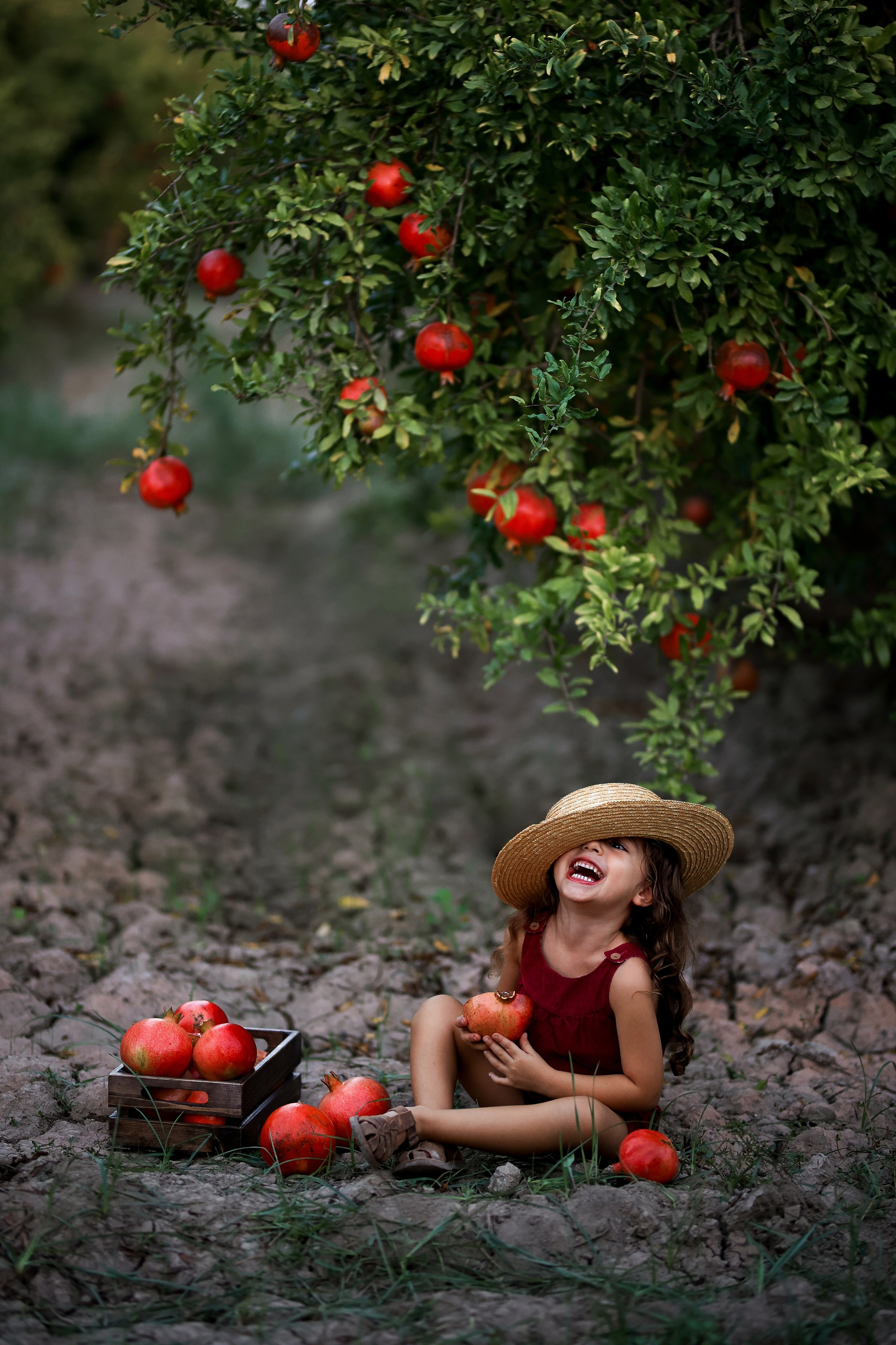 Photoshooting in pomegranate garden. Photographer in Turkey, Antalya, Kemer, Belek, Side, Kas, Fethiye