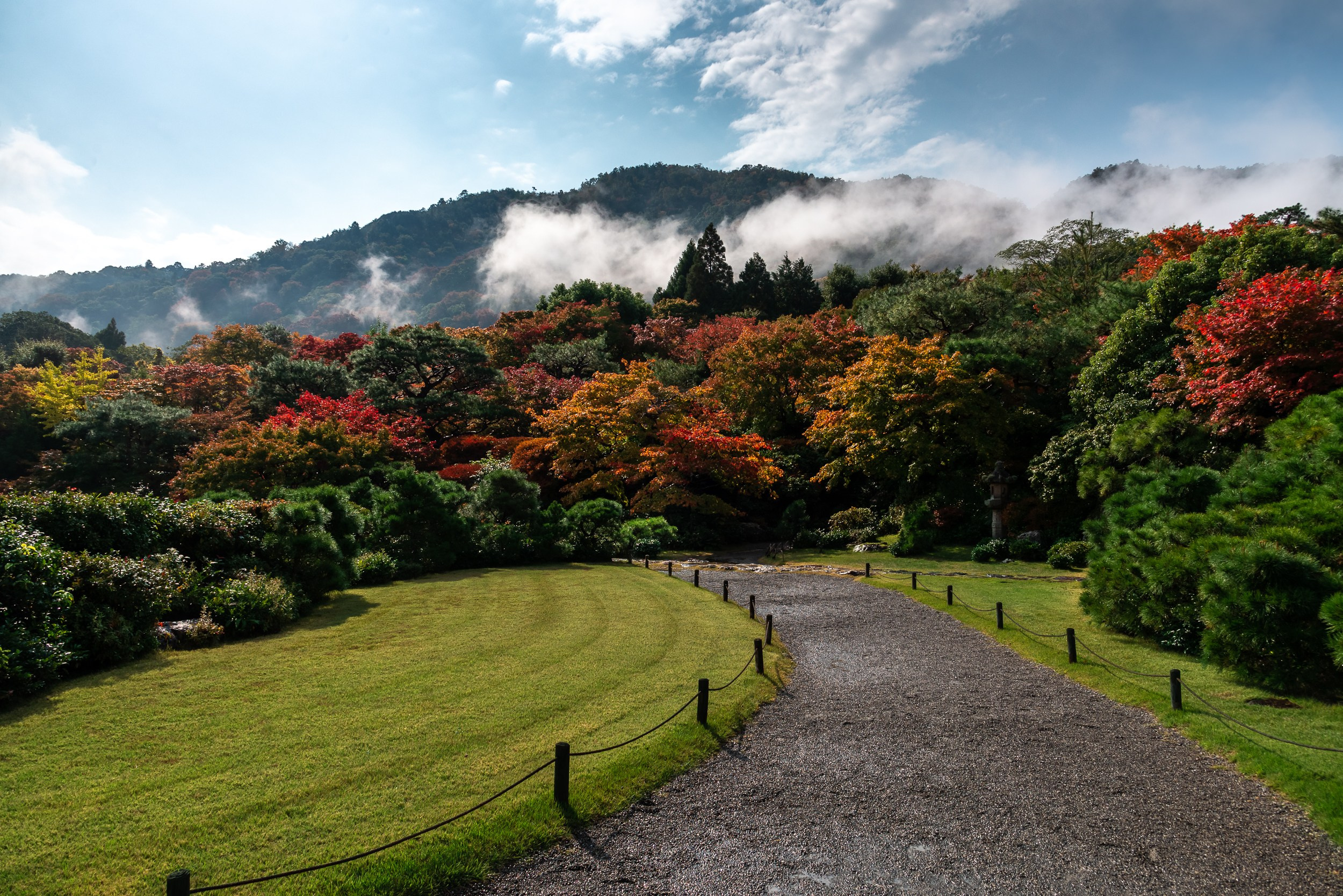 Japan. Marius Ciocan