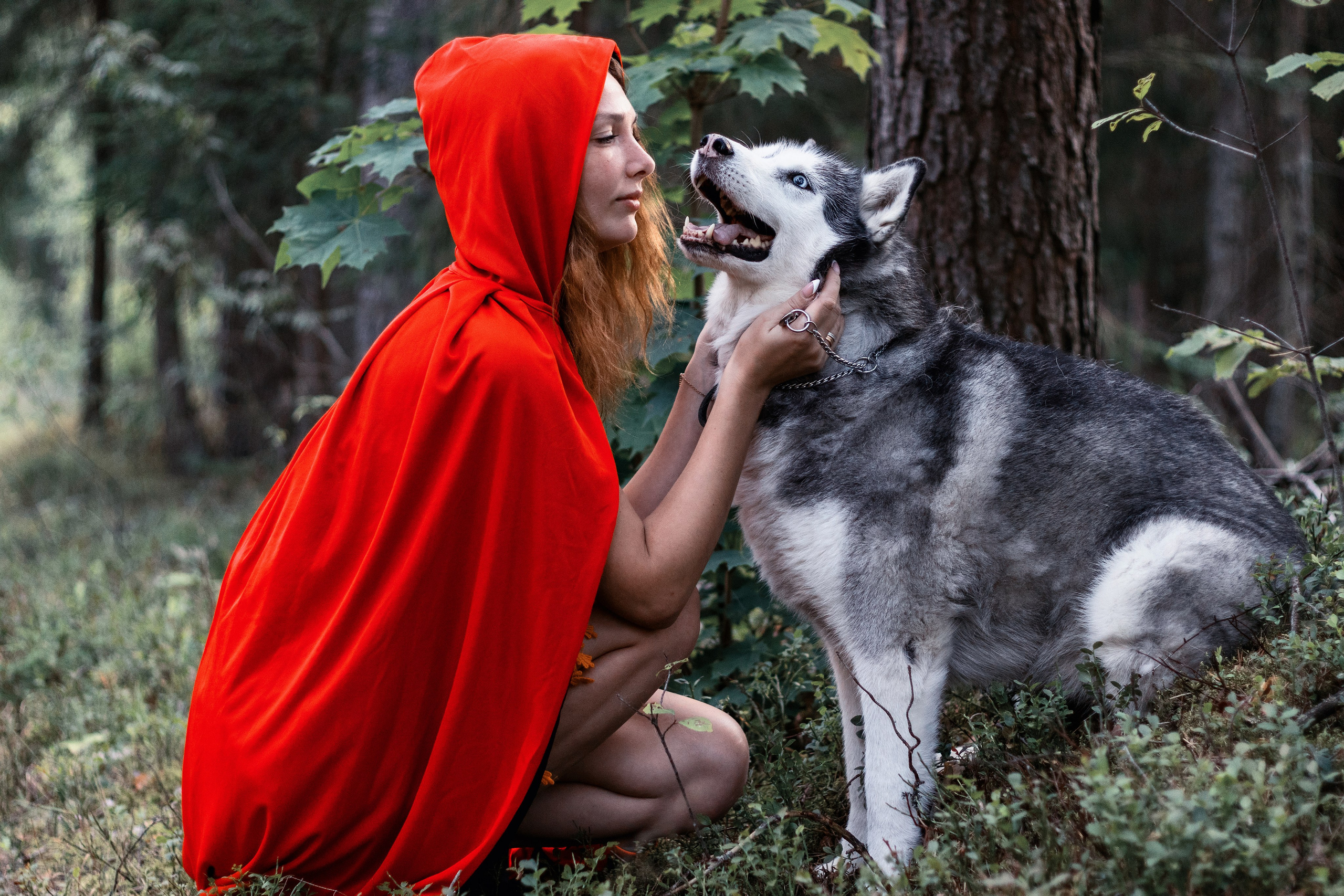 Фотосессия красная шапочка. Фотограф / Даугавпилс