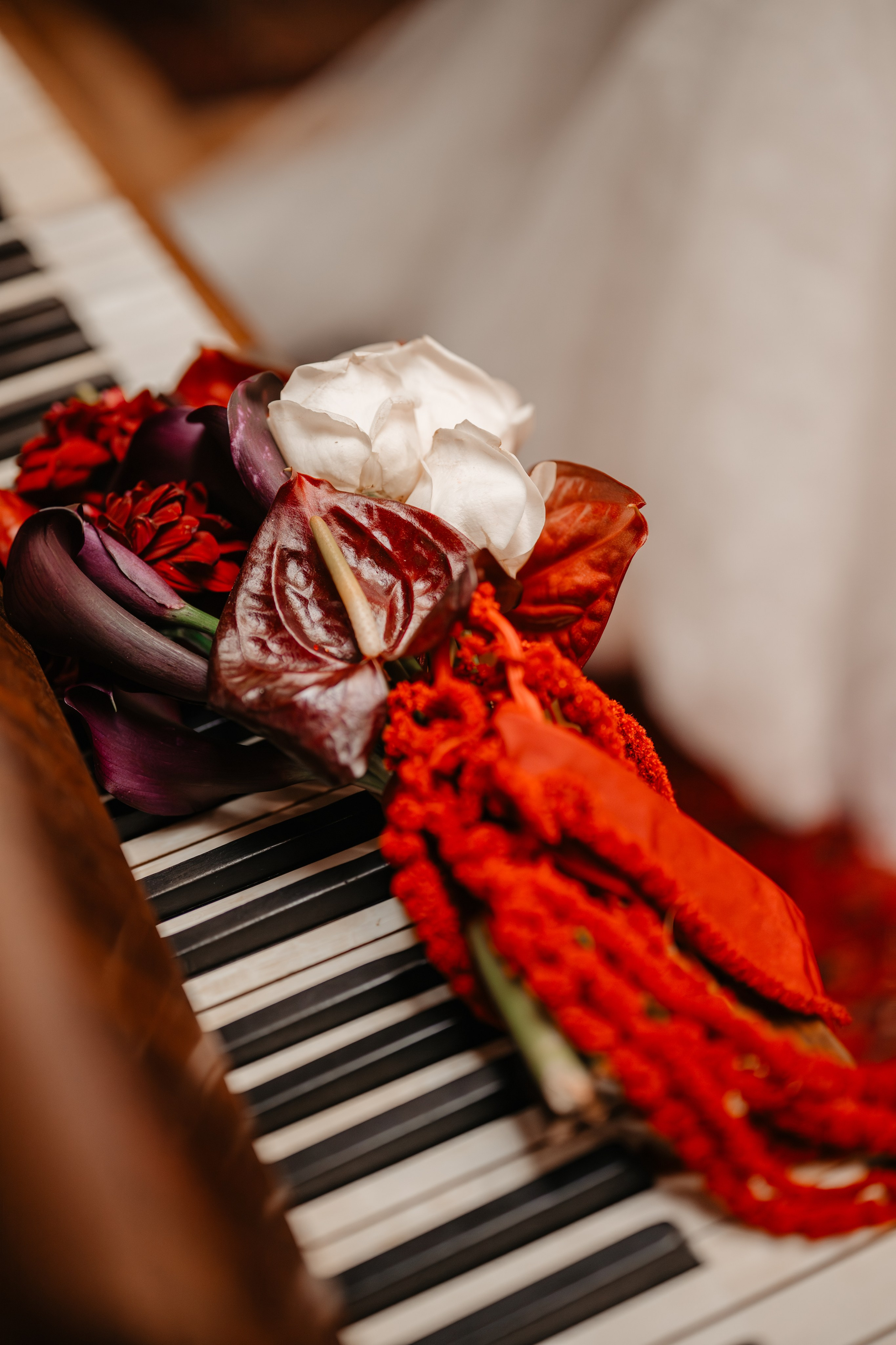 Workshop Beyond The Fairytale. Adrian Visovan - Fotograf Iasi