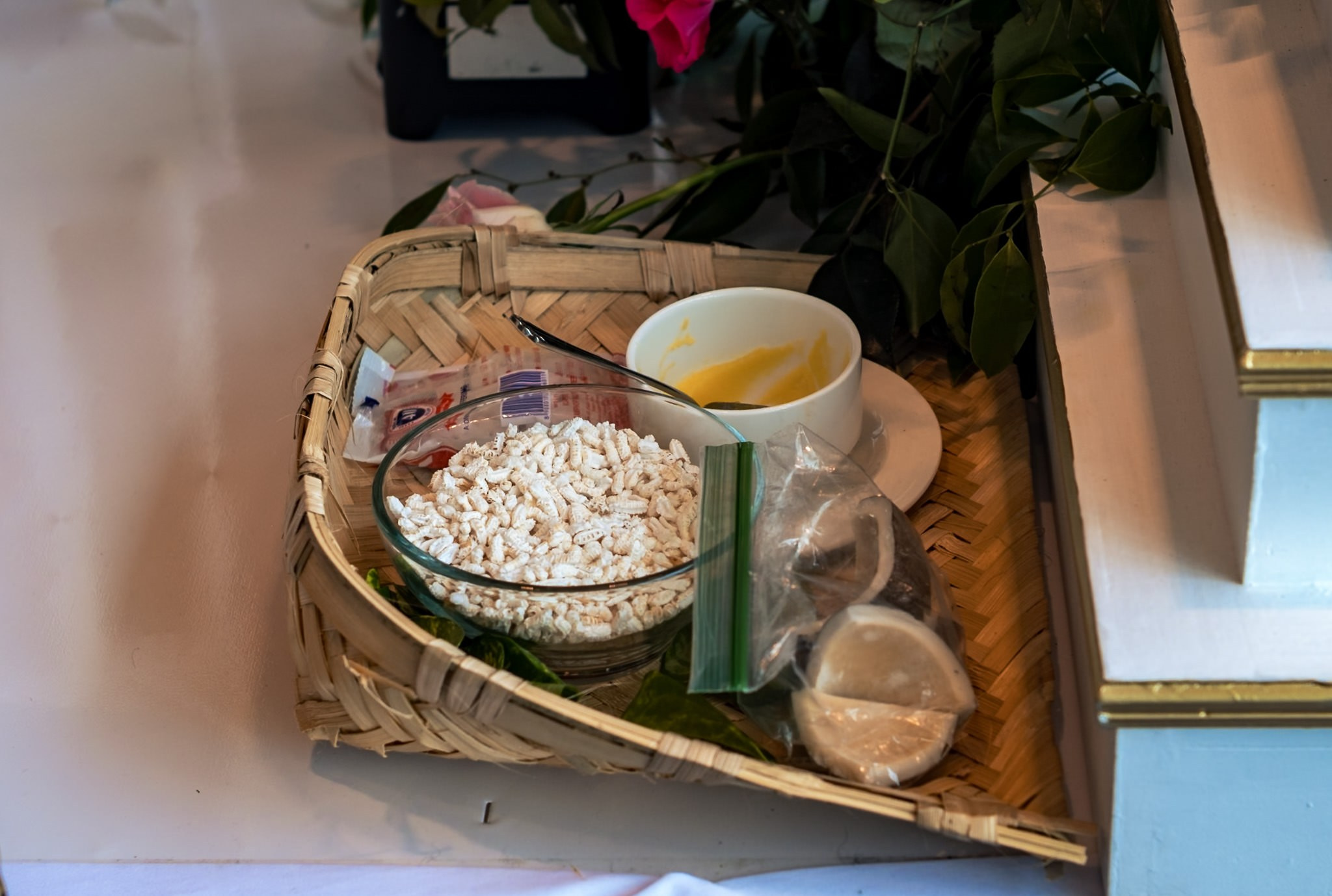 Aagya & Kishore. Wedding and family photographer in Mexico City