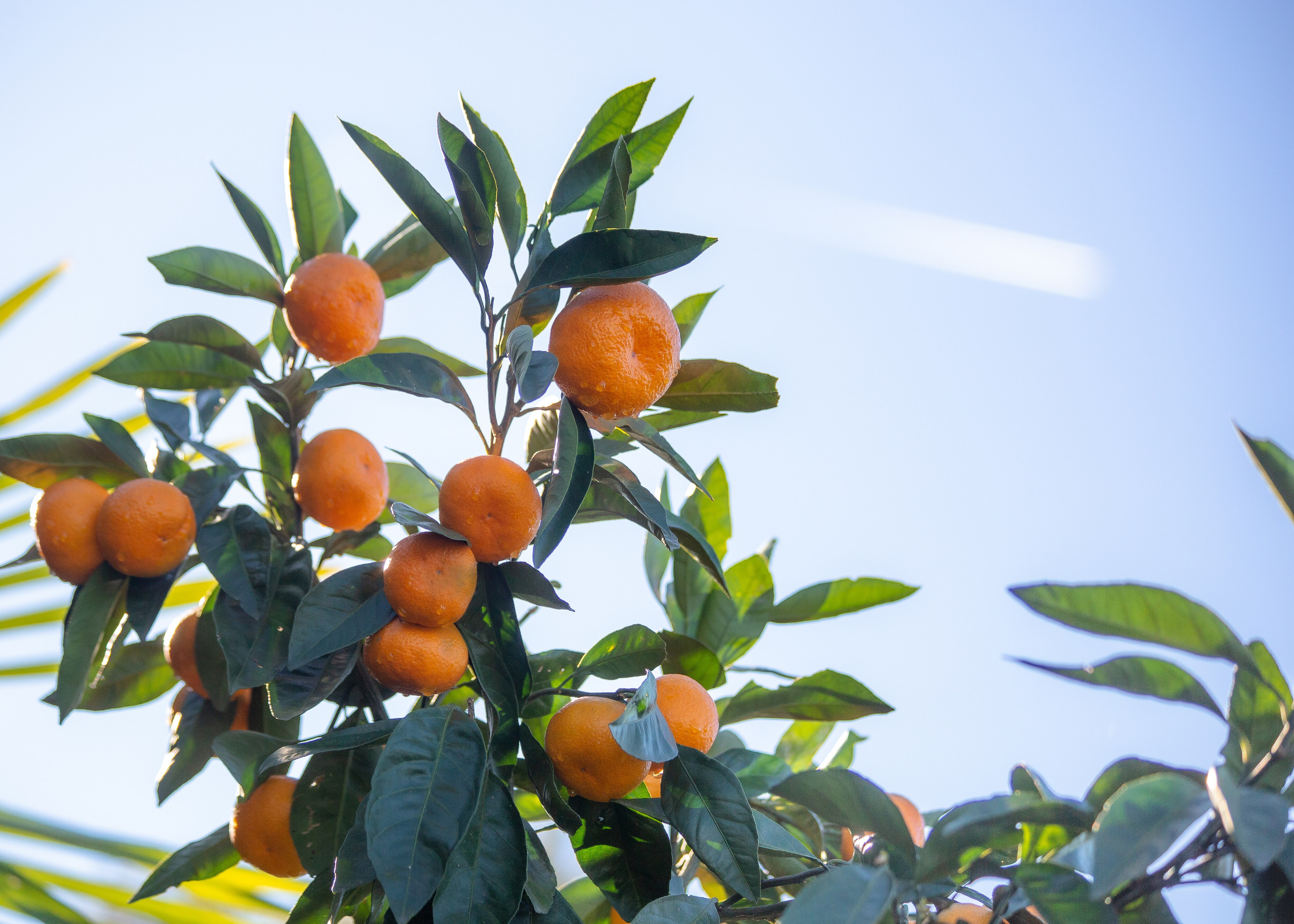 Event. PHOTOSTORYNIKA