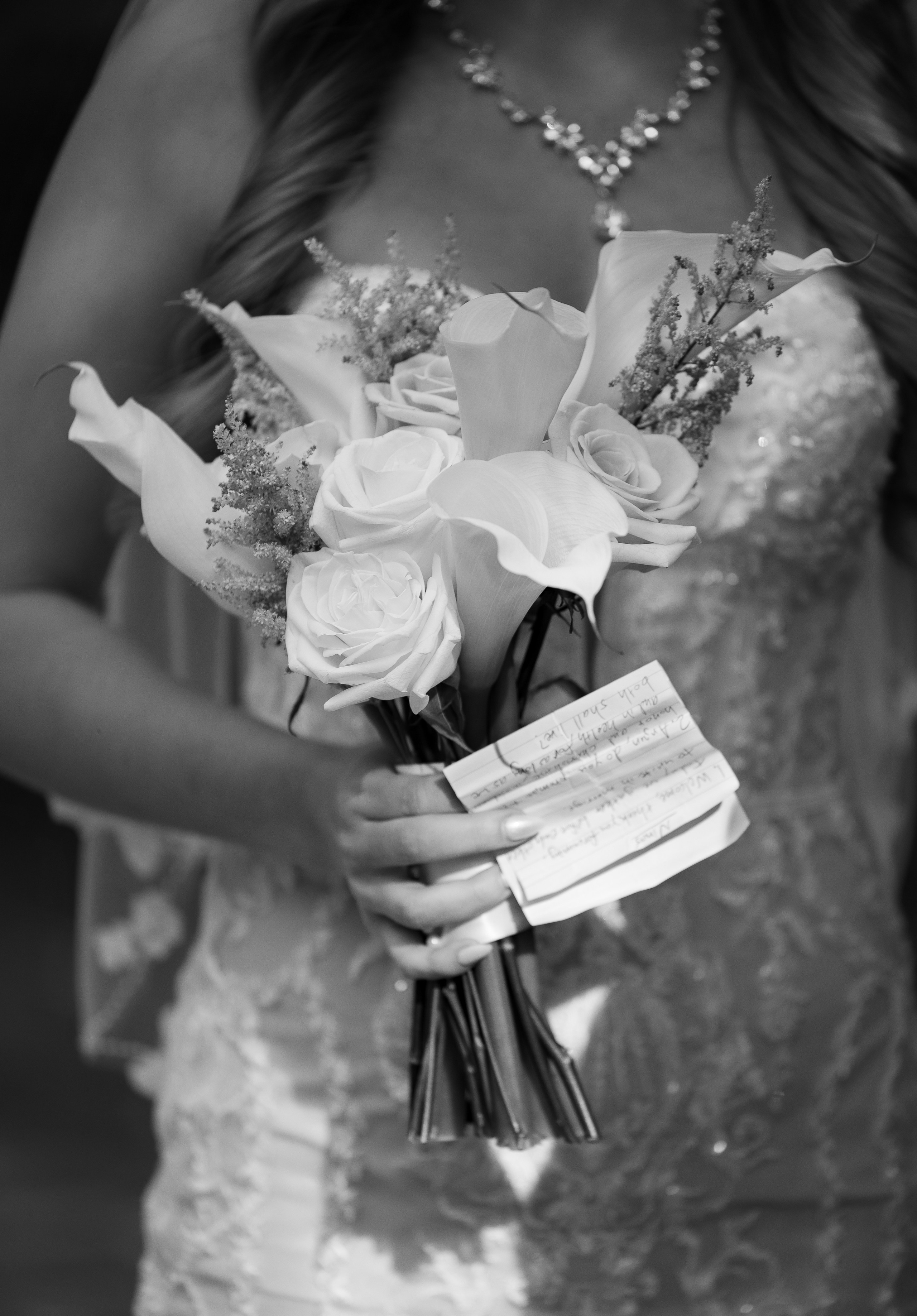 Nina and Arjun. Intimate Elopement in Washington DC. Photographer Anastasia Nagibina