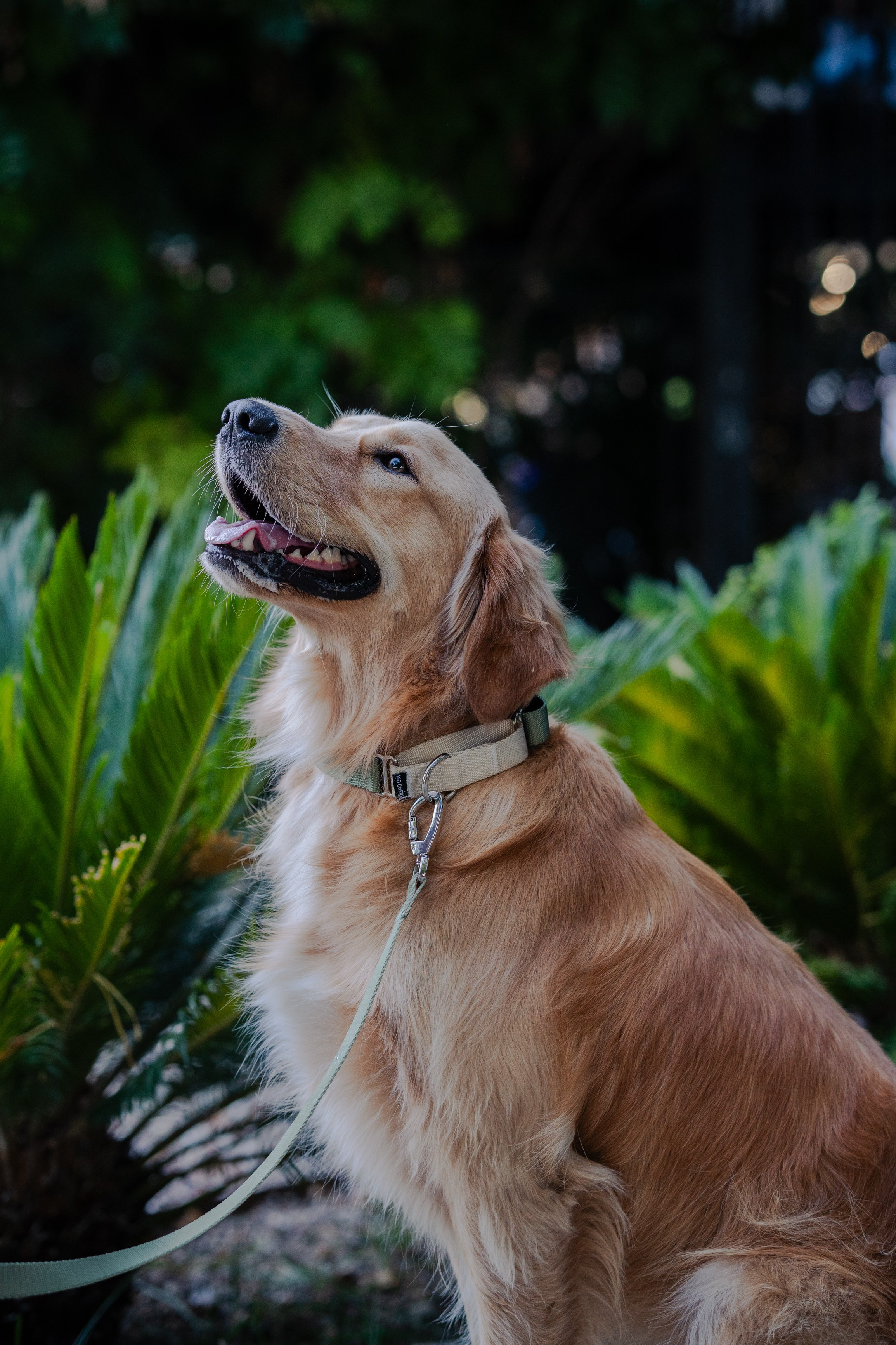 Wo.cherie. Lisbon Event Photographer