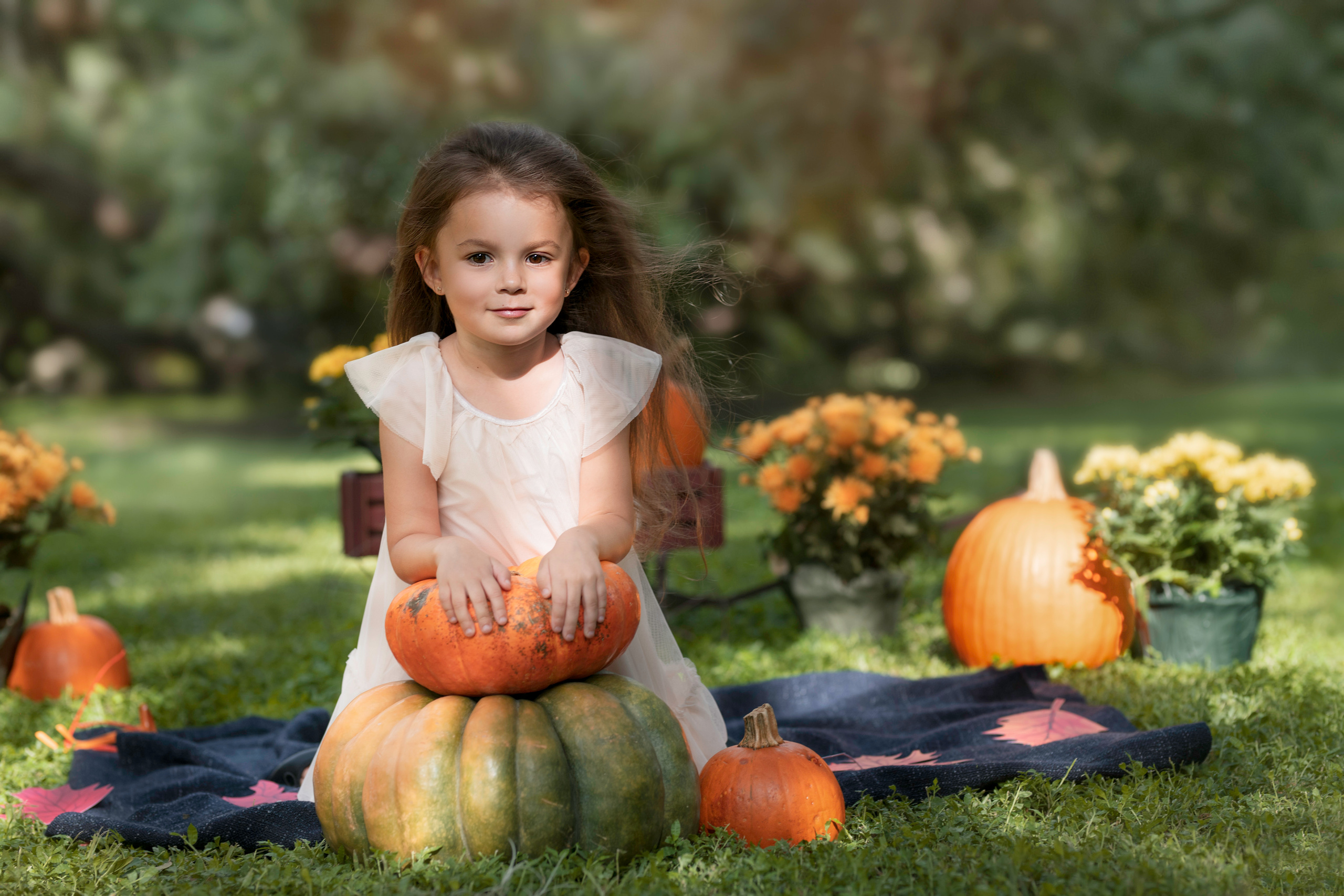 Pumpkin_2021. Portrait, kids and family photographer in Wesley Chapel Alina Alice Osipova