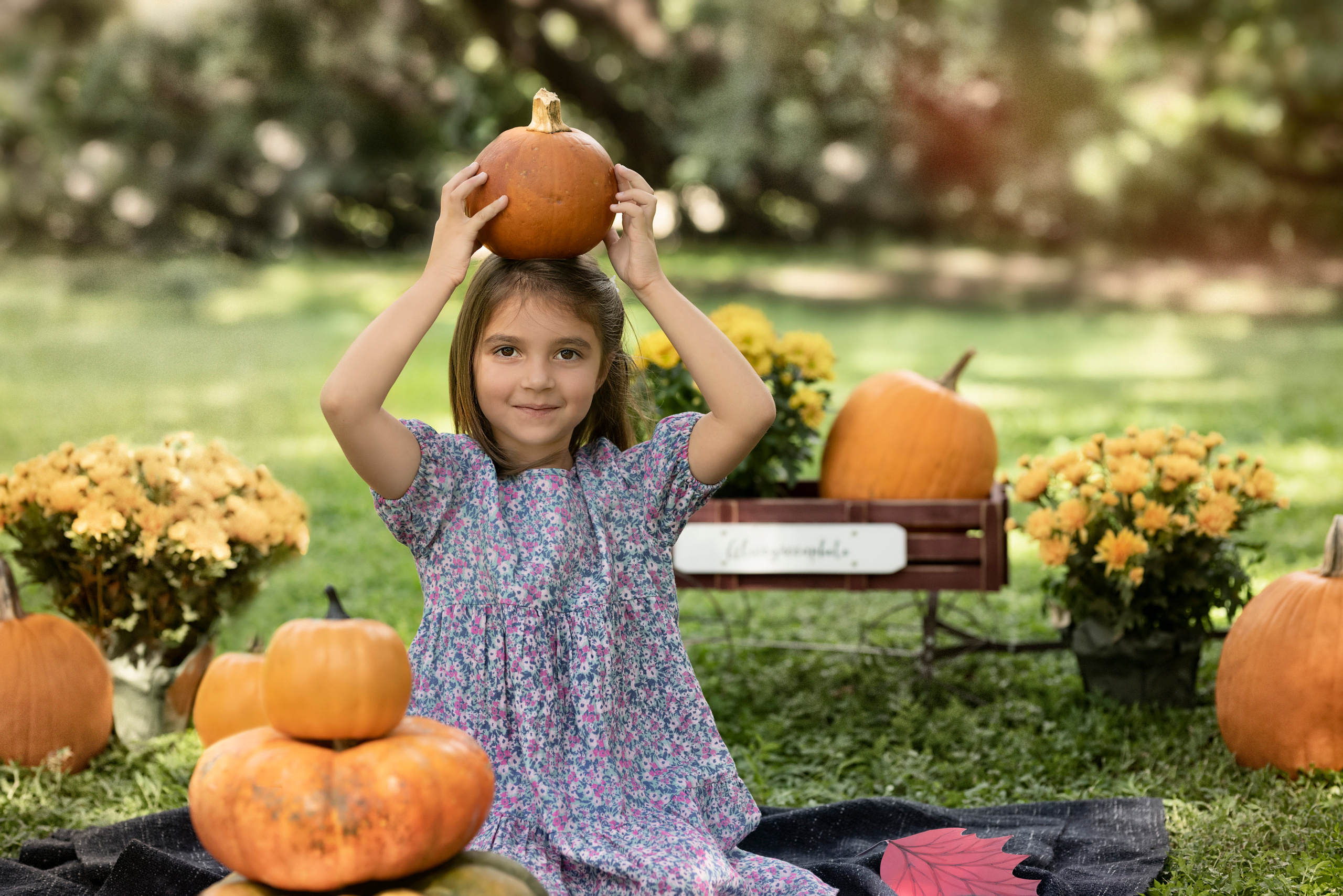 Pumpkin_2021. Portrait, kids and family photographer in Wesley Chapel Alina Alice Osipova