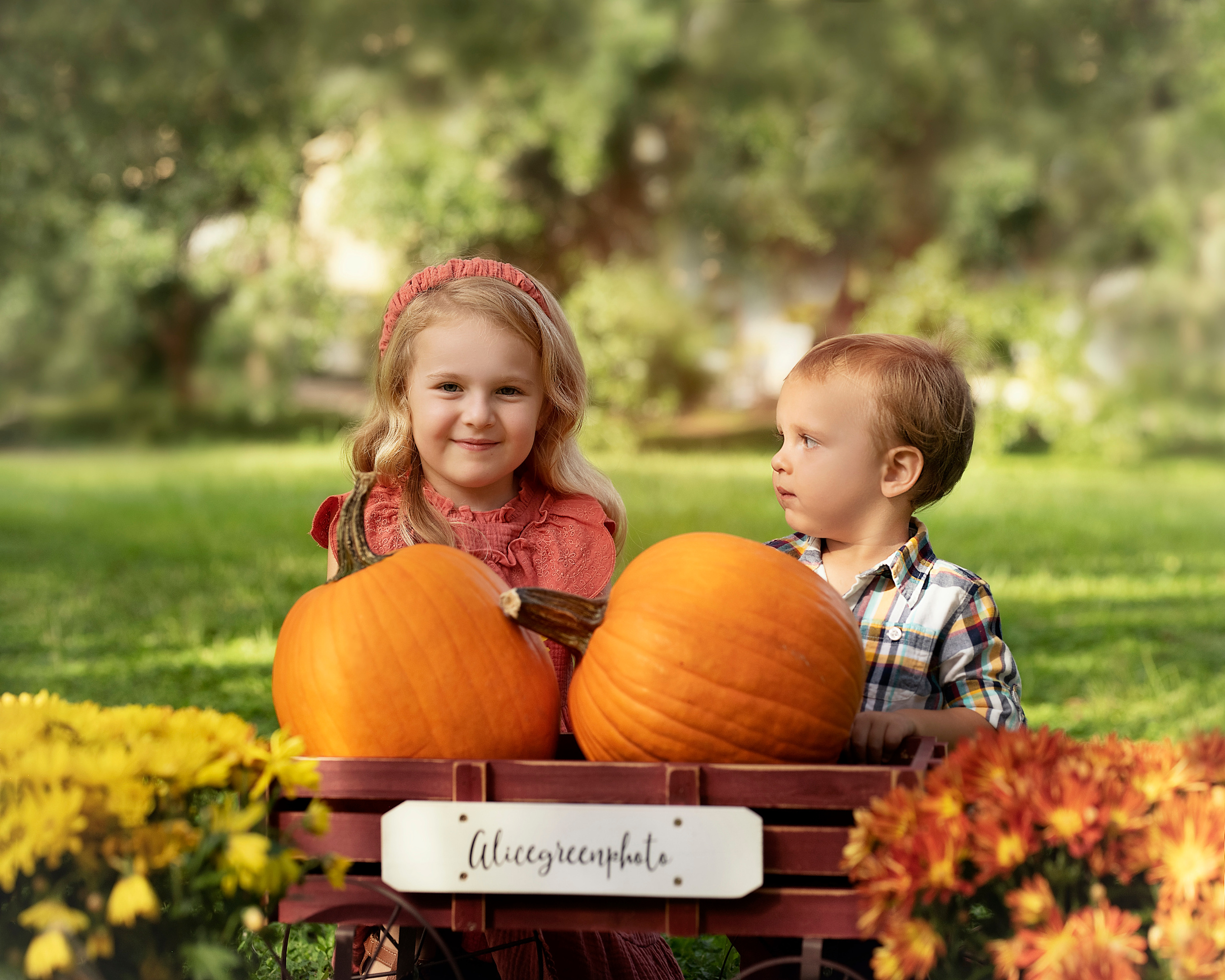 Pumpkin_2021. Portrait, kids and family photographer in Wesley Chapel Alina Alice Osipova