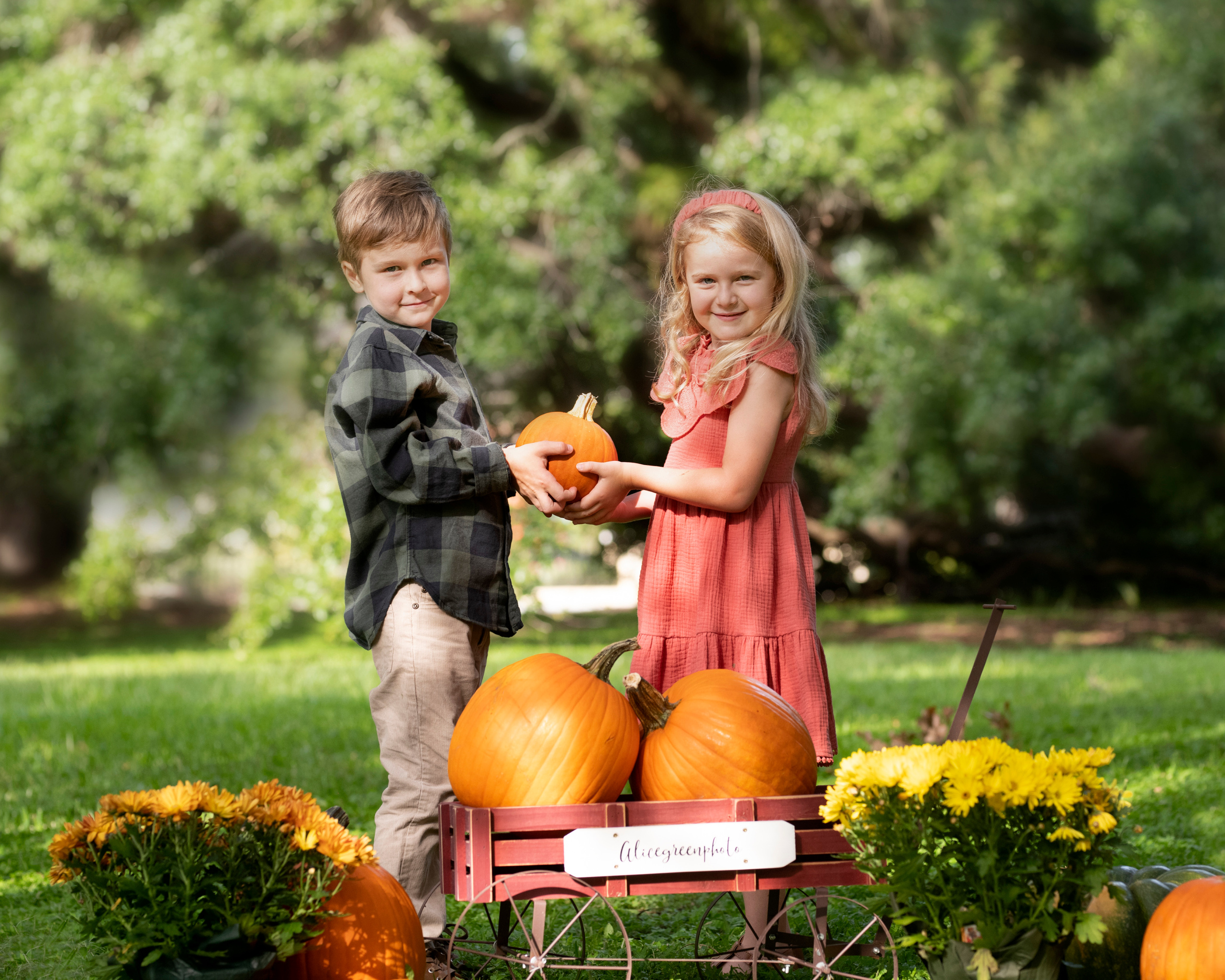 Pumpkin_2021. Portrait, kids and family photographer in Wesley Chapel Alina Alice Osipova