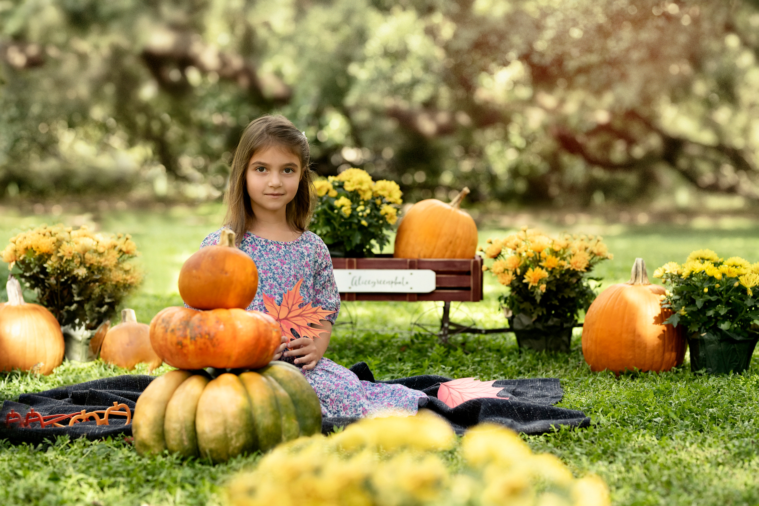 Pumpkin_2021. Portrait, kids and family photographer in Wesley Chapel Alina Alice Osipova