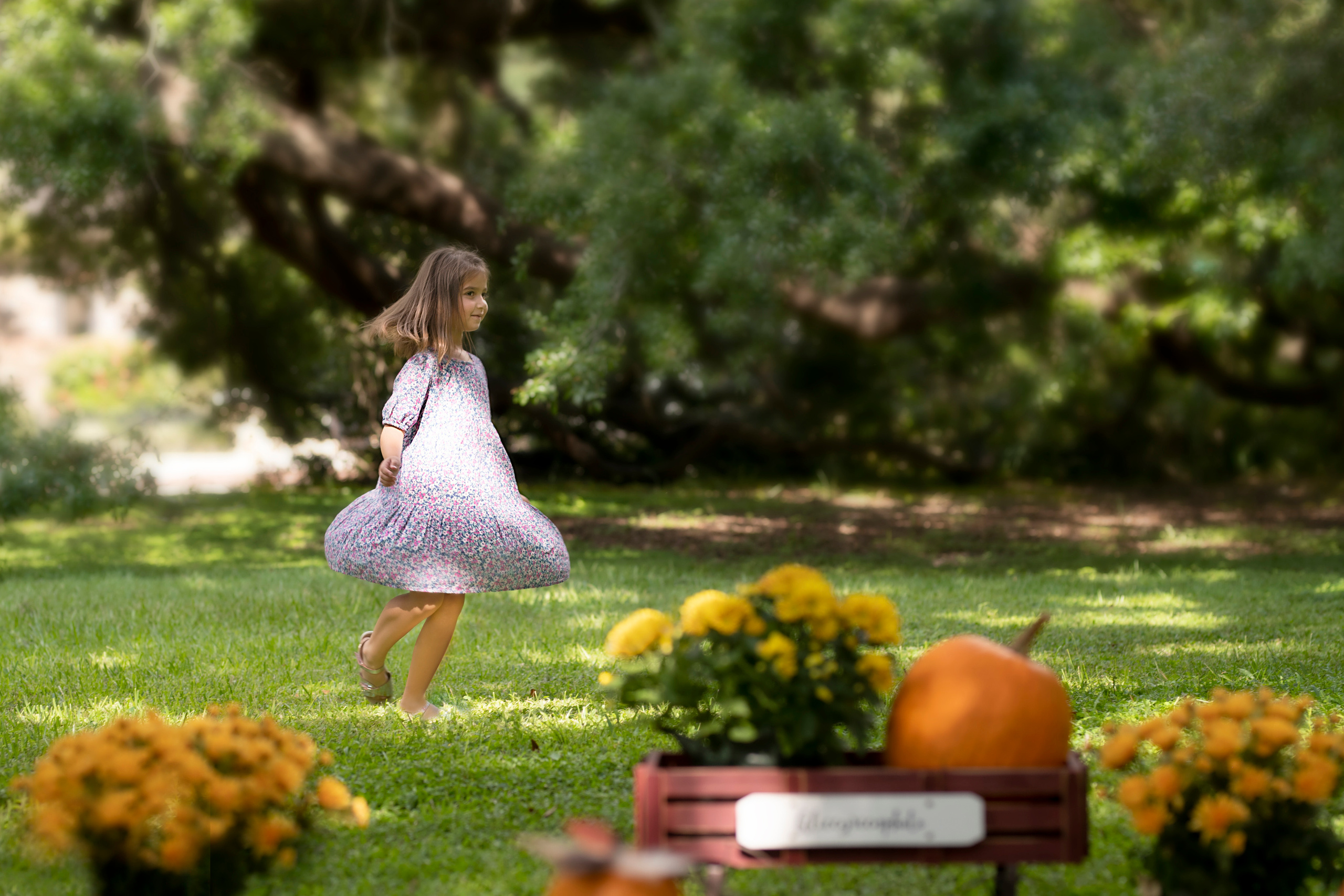 Pumpkin_2021. Portrait, kids and family photographer in Wesley Chapel Alina Alice Osipova