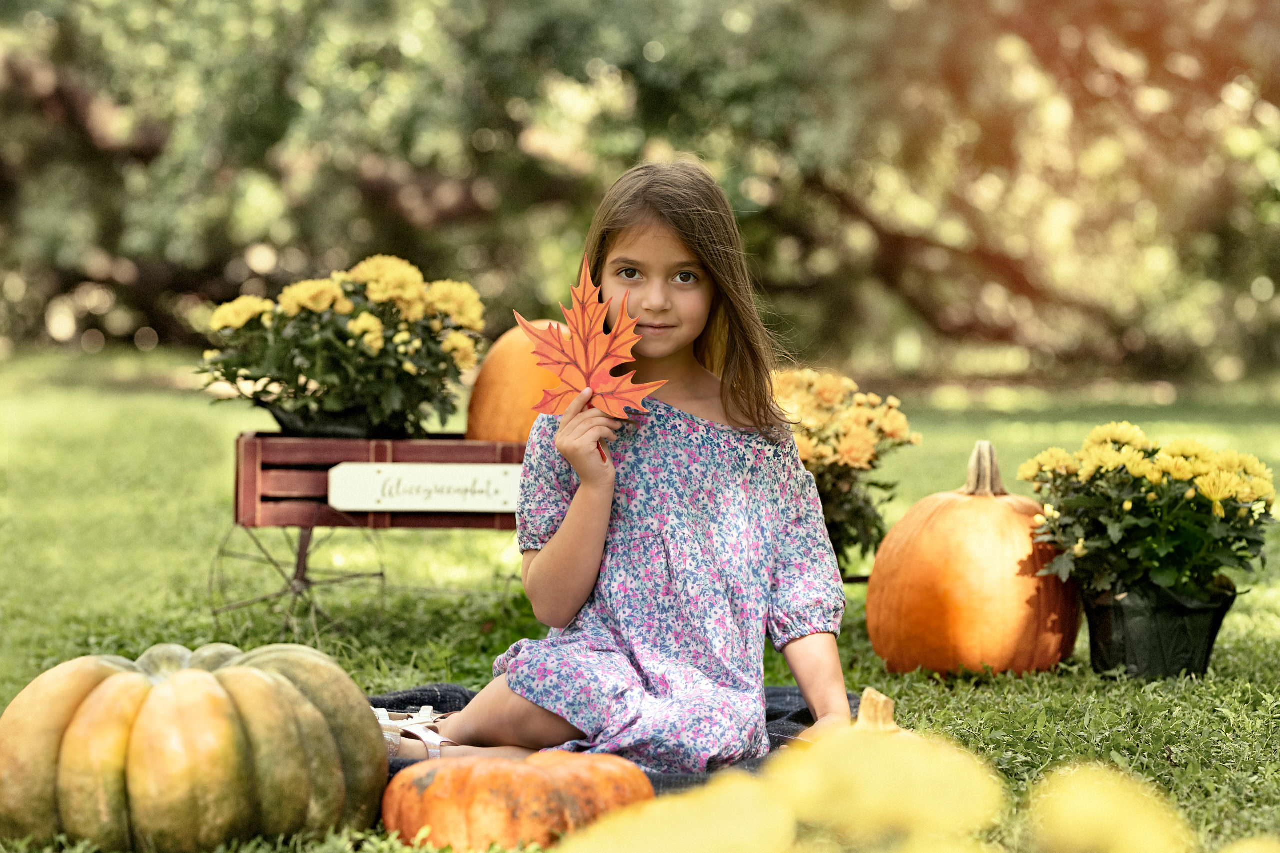 Pumpkin_2021. Portrait, kids and family photographer in Wesley Chapel Alina Alice Osipova