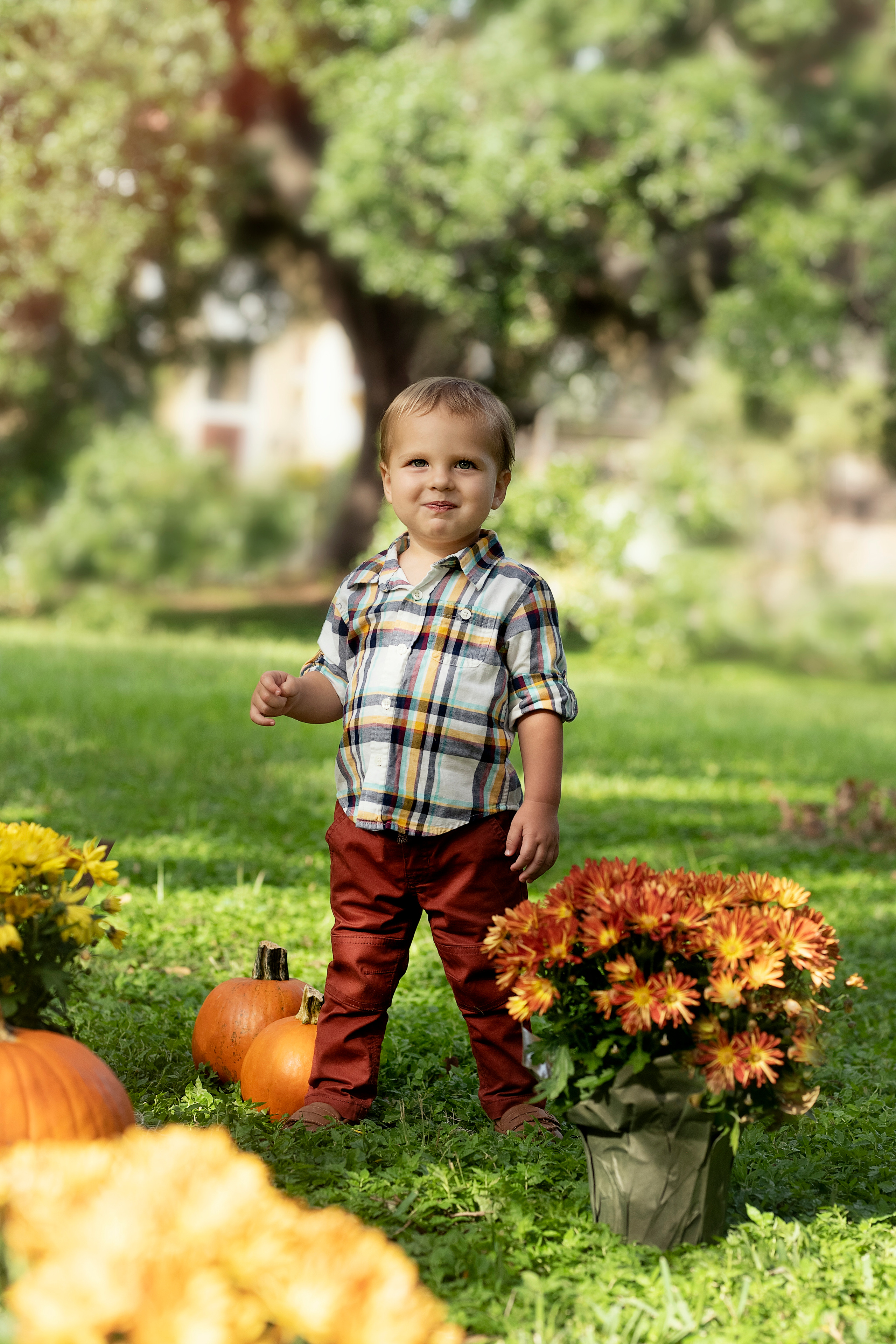 Pumpkin_2021. Portrait, kids and family photographer in Wesley Chapel Alina Alice Osipova