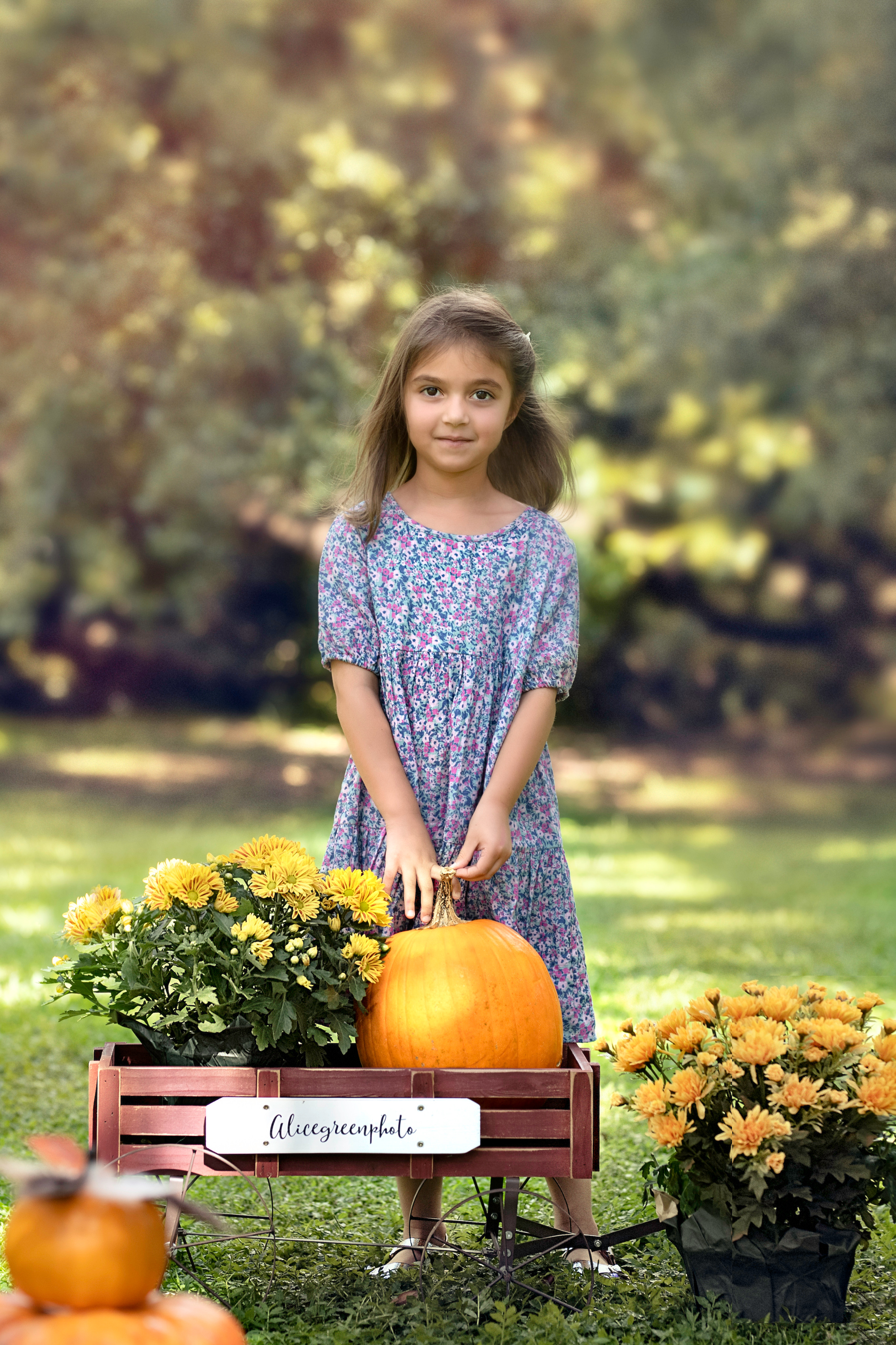 Pumpkin_2021. Portrait, kids and family photographer in Wesley Chapel Alina Alice Osipova