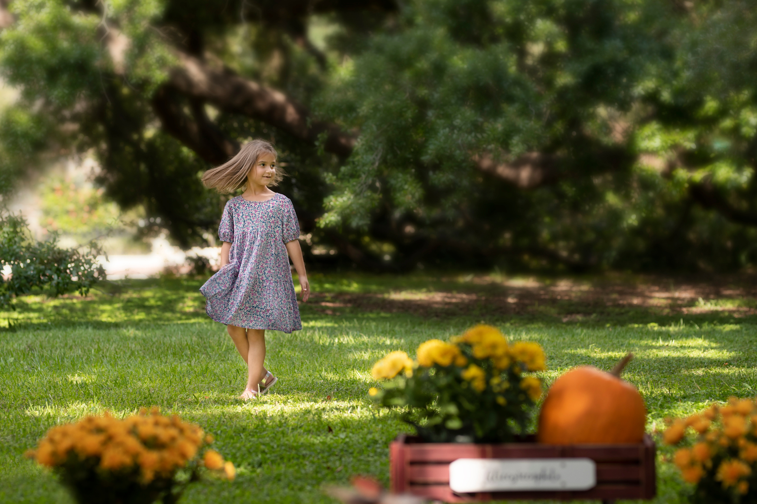 Pumpkin_2021. Portrait, kids and family photographer in Wesley Chapel Alina Alice Osipova