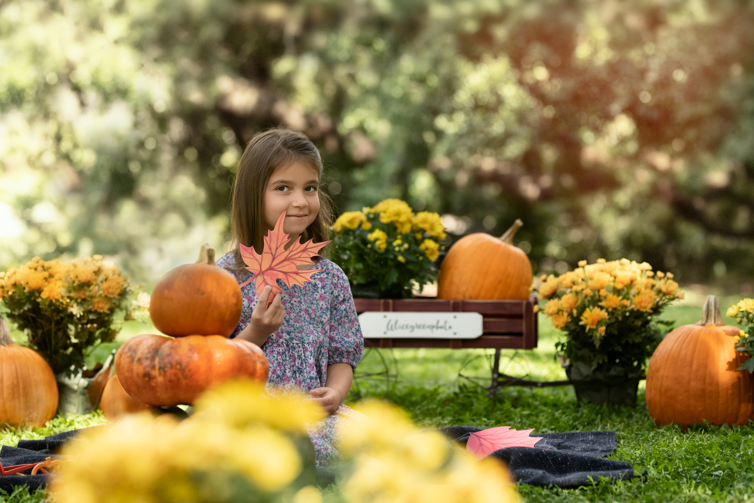 Pumpkin_2021. Portrait, kids and family photographer in Wesley Chapel Alina Alice Osipova