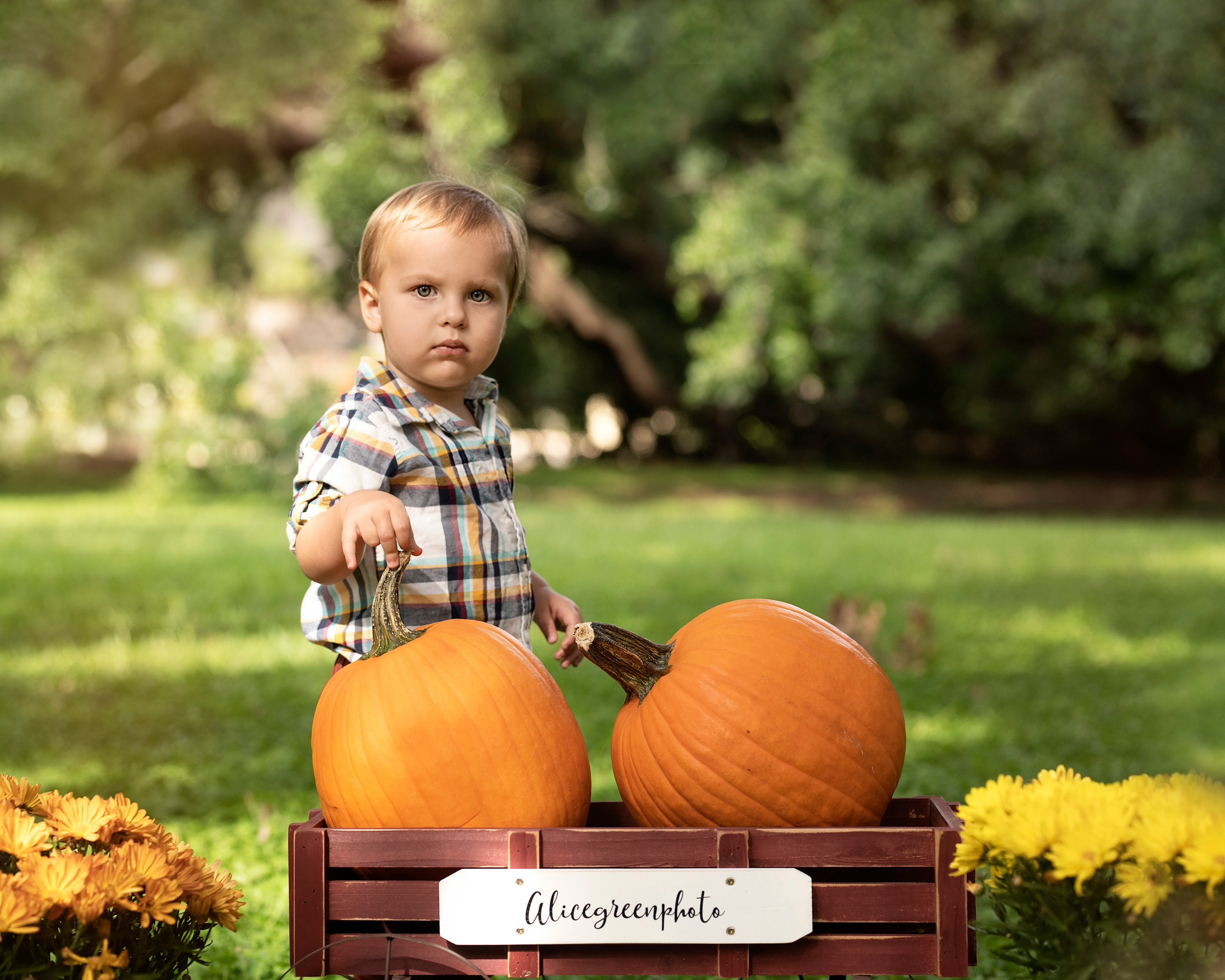 Pumpkin_2021. Portrait, kids and family photographer in Wesley Chapel Alina Alice Osipova