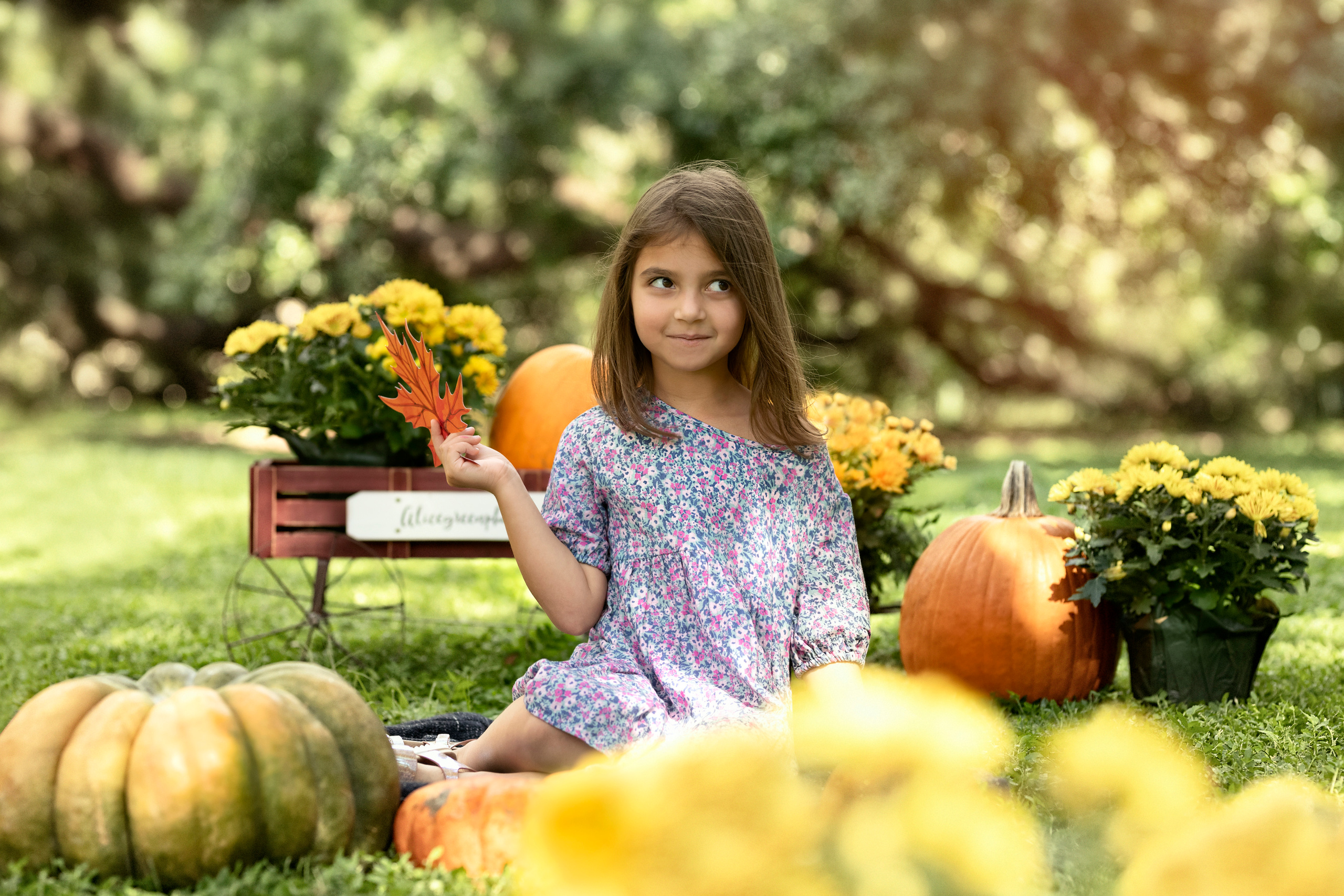 Pumpkin_2021. Portrait, kids and family photographer in Wesley Chapel Alina Alice Osipova