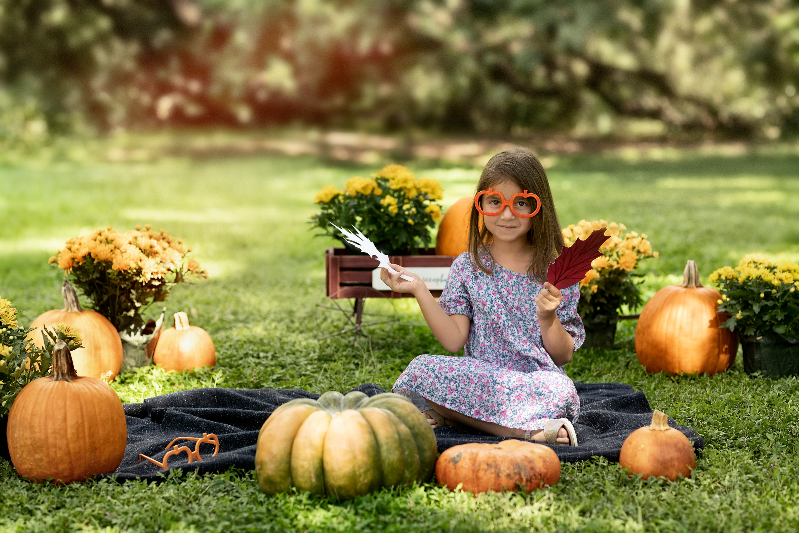 Pumpkin_2021. Portrait, kids and family photographer in Wesley Chapel Alina Alice Osipova