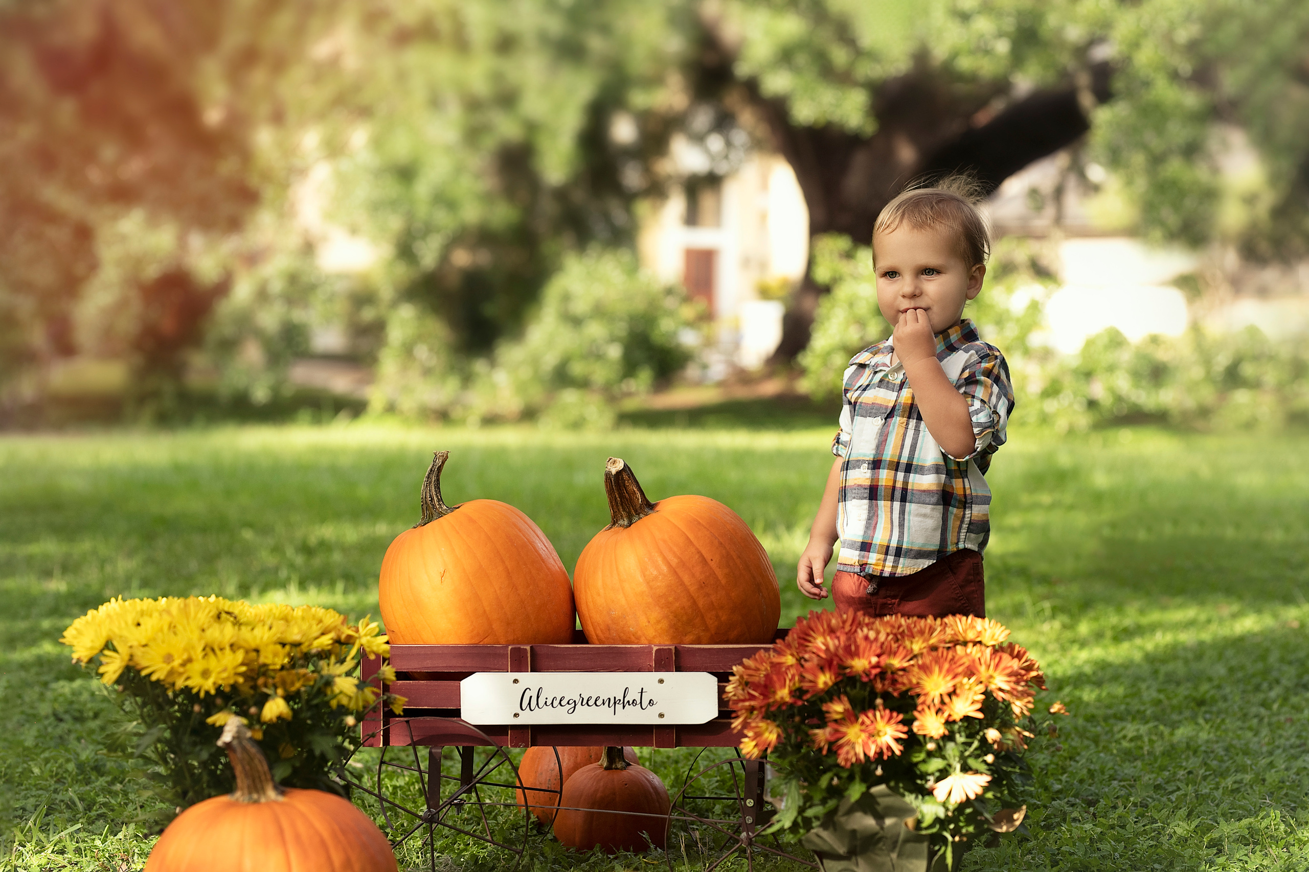Pumpkin_2021. Portrait, kids and family photographer in Wesley Chapel Alina Alice Osipova