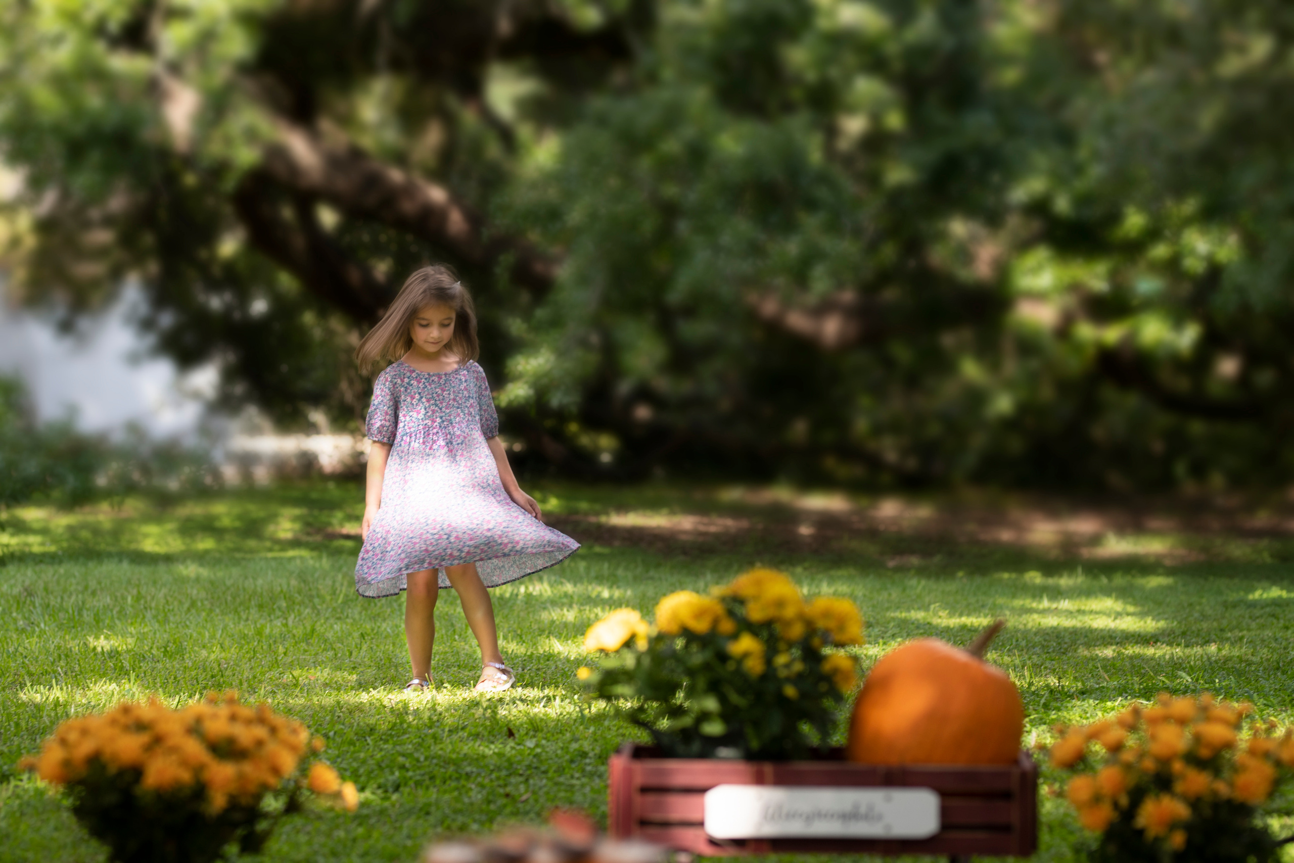 Pumpkin_2021. Portrait, kids and family photographer in Wesley Chapel Alina Alice Osipova
