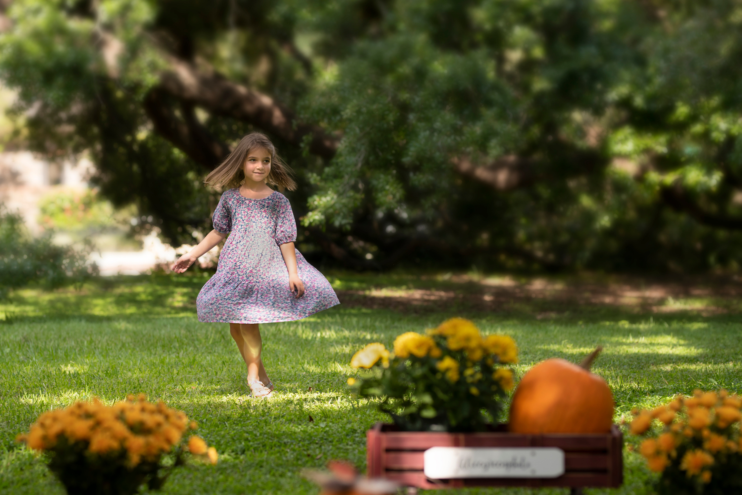 Pumpkin_2021. Portrait, kids and family photographer in Wesley Chapel Alina Alice Osipova