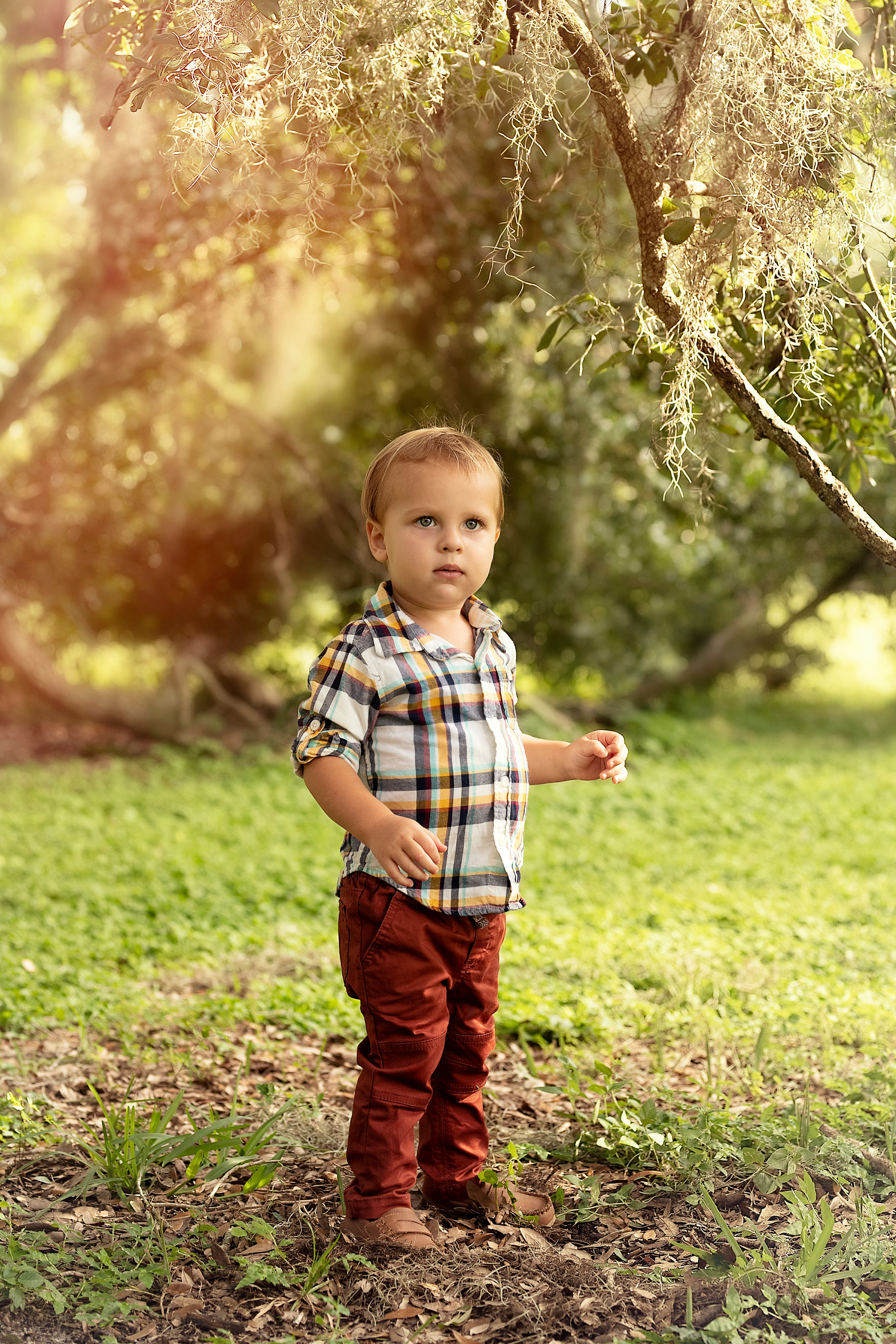 Pumpkin_2021. Portrait, kids and family photographer in Wesley Chapel Alina Alice Osipova