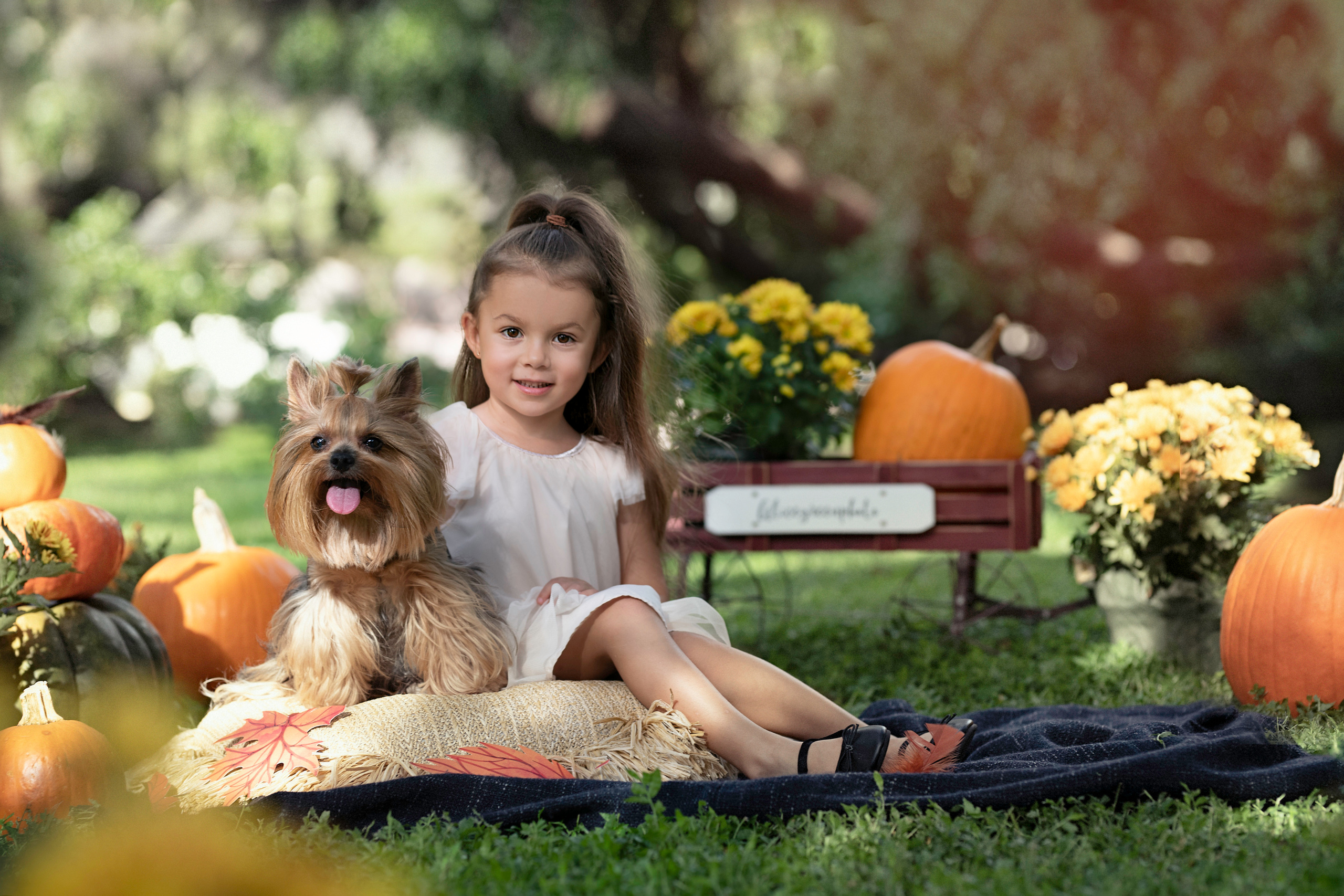 Pumpkin_2021. Portrait, kids and family photographer in Wesley Chapel Alina Alice Osipova