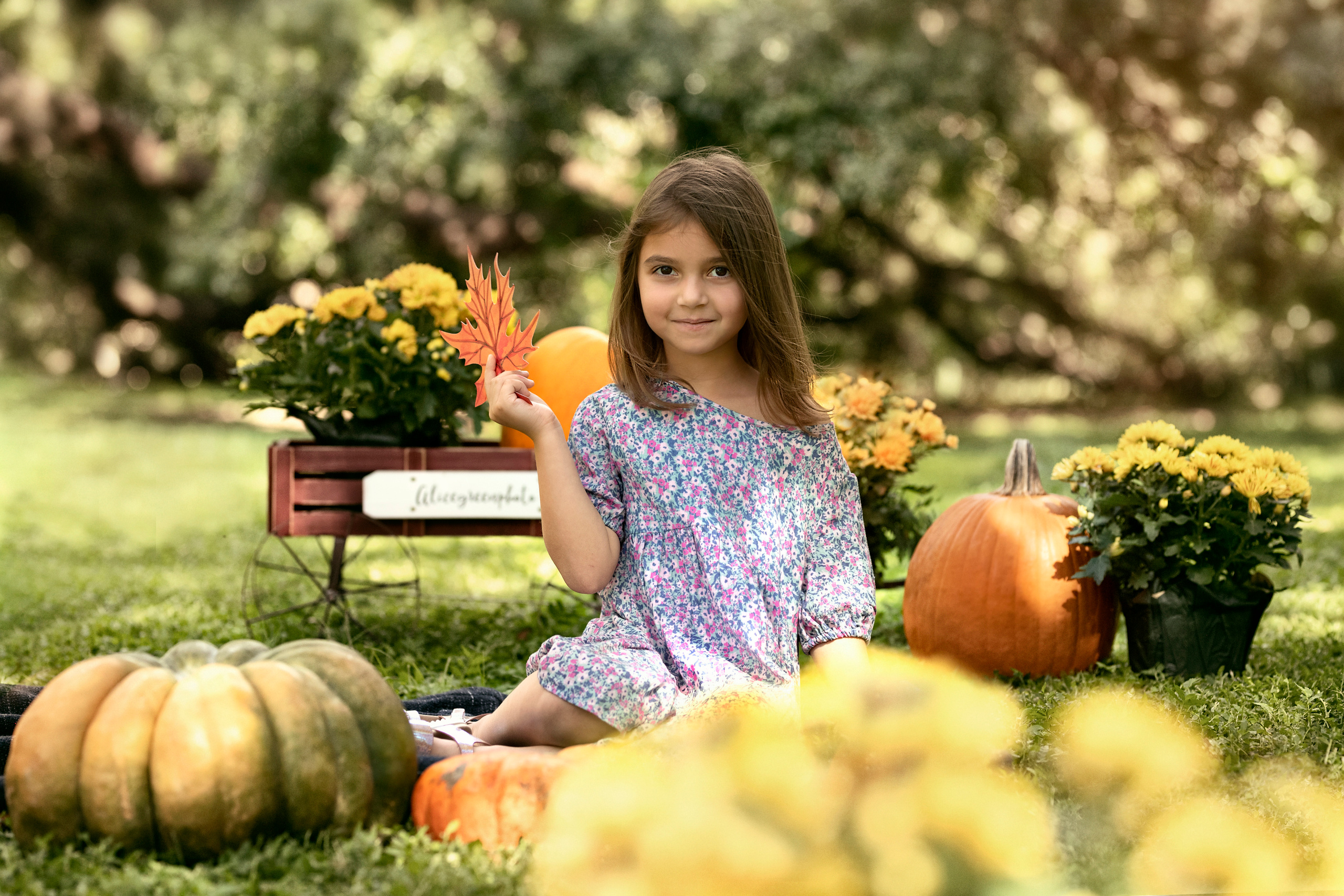 Pumpkin_2021. Portrait, kids and family photographer in Wesley Chapel Alina Alice Osipova