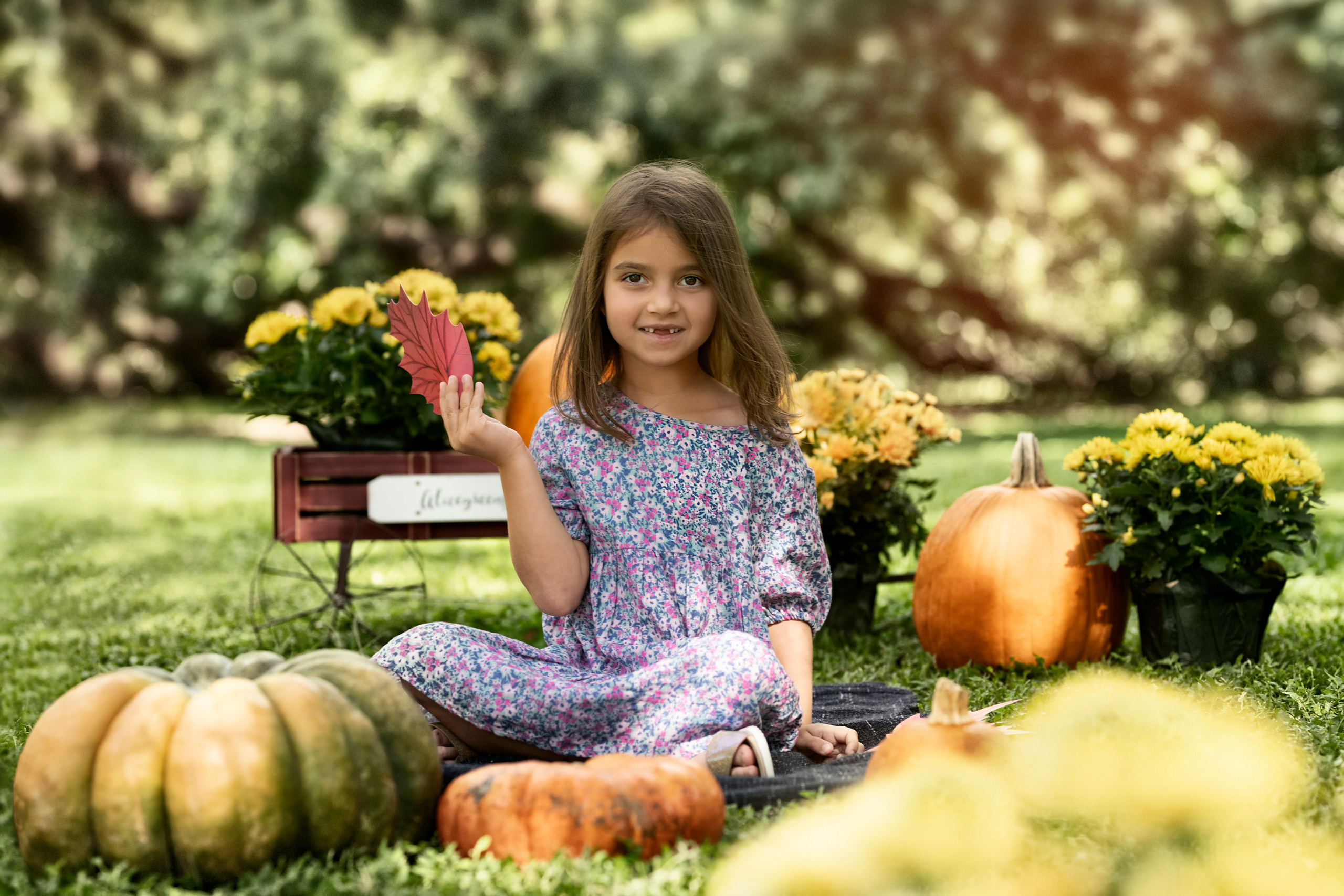 Pumpkin_2021. Portrait, kids and family photographer in Wesley Chapel Alina Alice Osipova