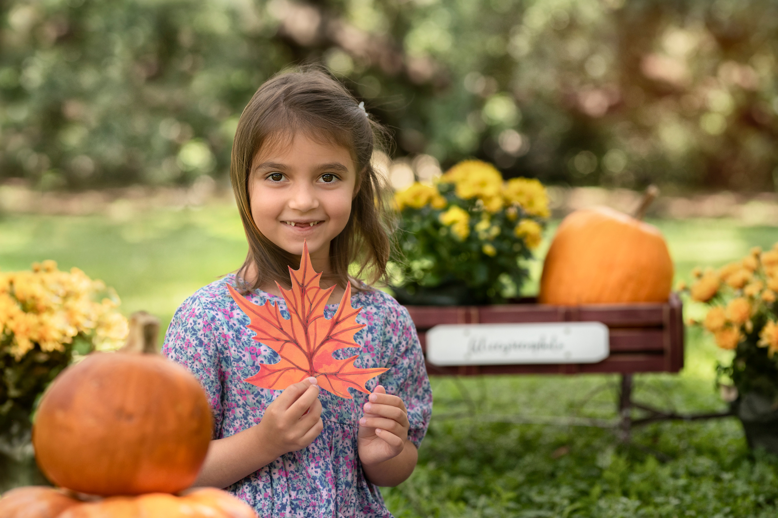 Pumpkin_2021. Portrait, kids and family photographer in Wesley Chapel Alina Alice Osipova