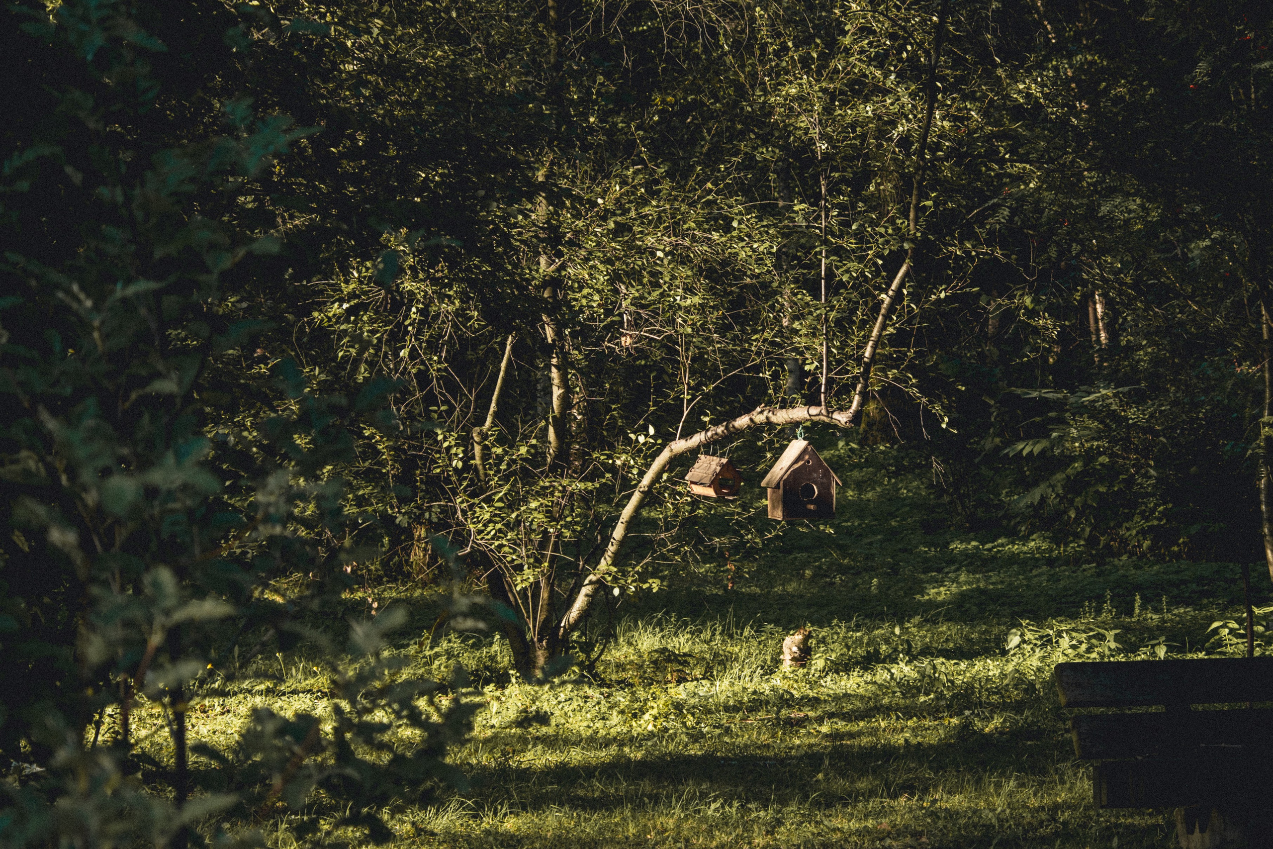 ВДНХ и Ботанический сад. Семейный и детский фотограф на Лазурном Берегу