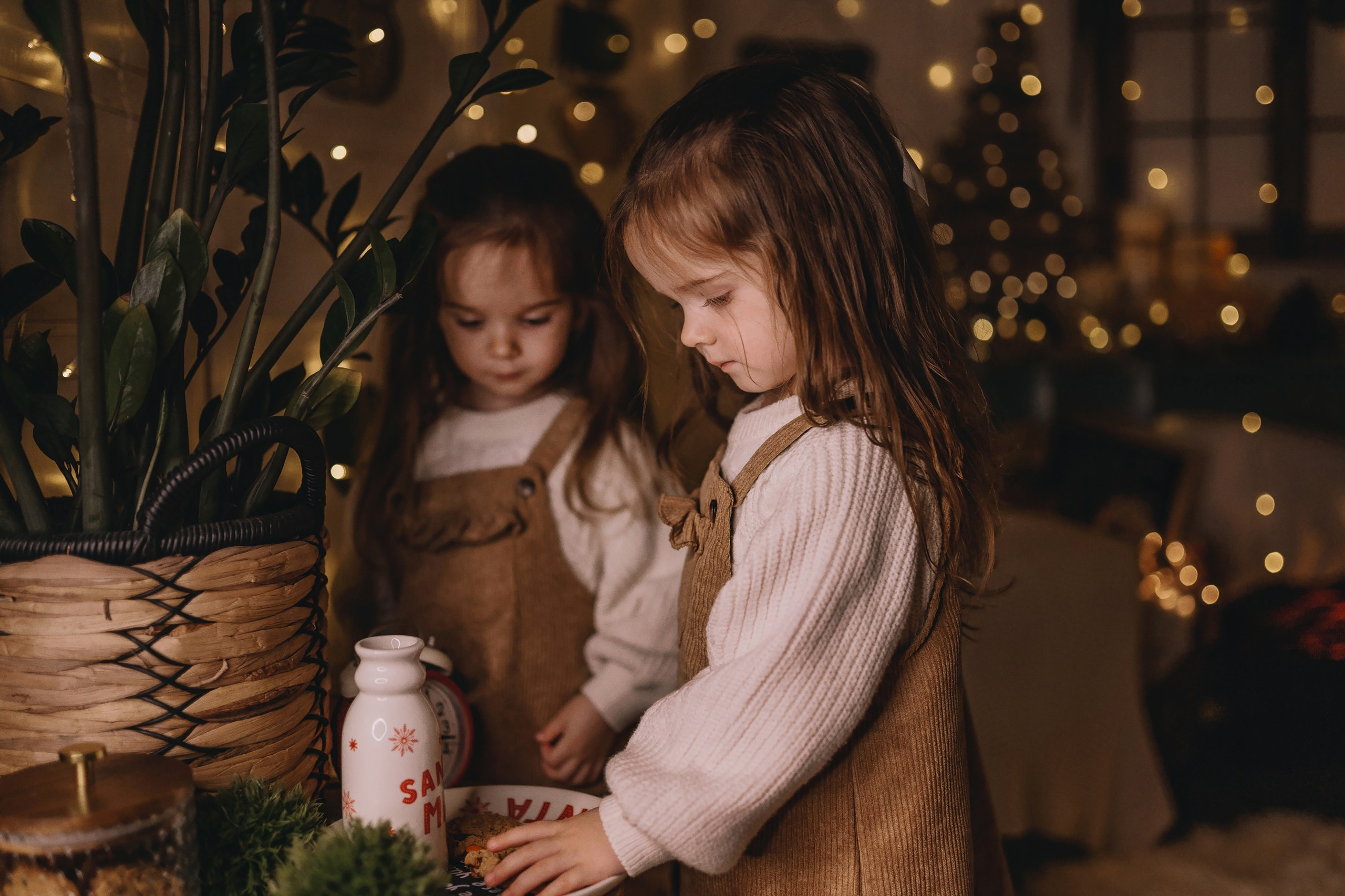 11.26.2025 Christmas Photoshoot. Wedding family event photographer in Chicago Nick Yushevich