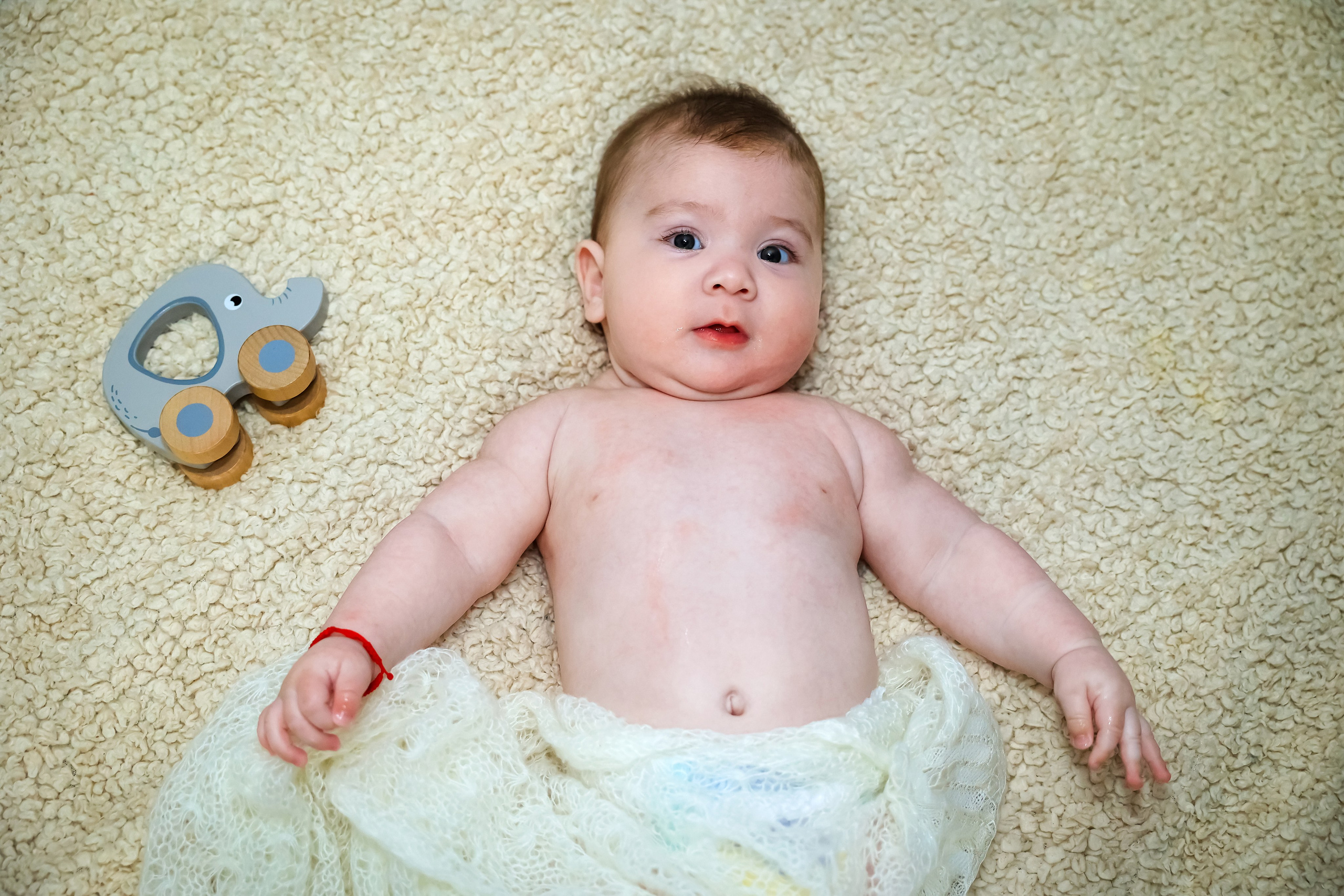 Andrei Damian. Moments By Gub