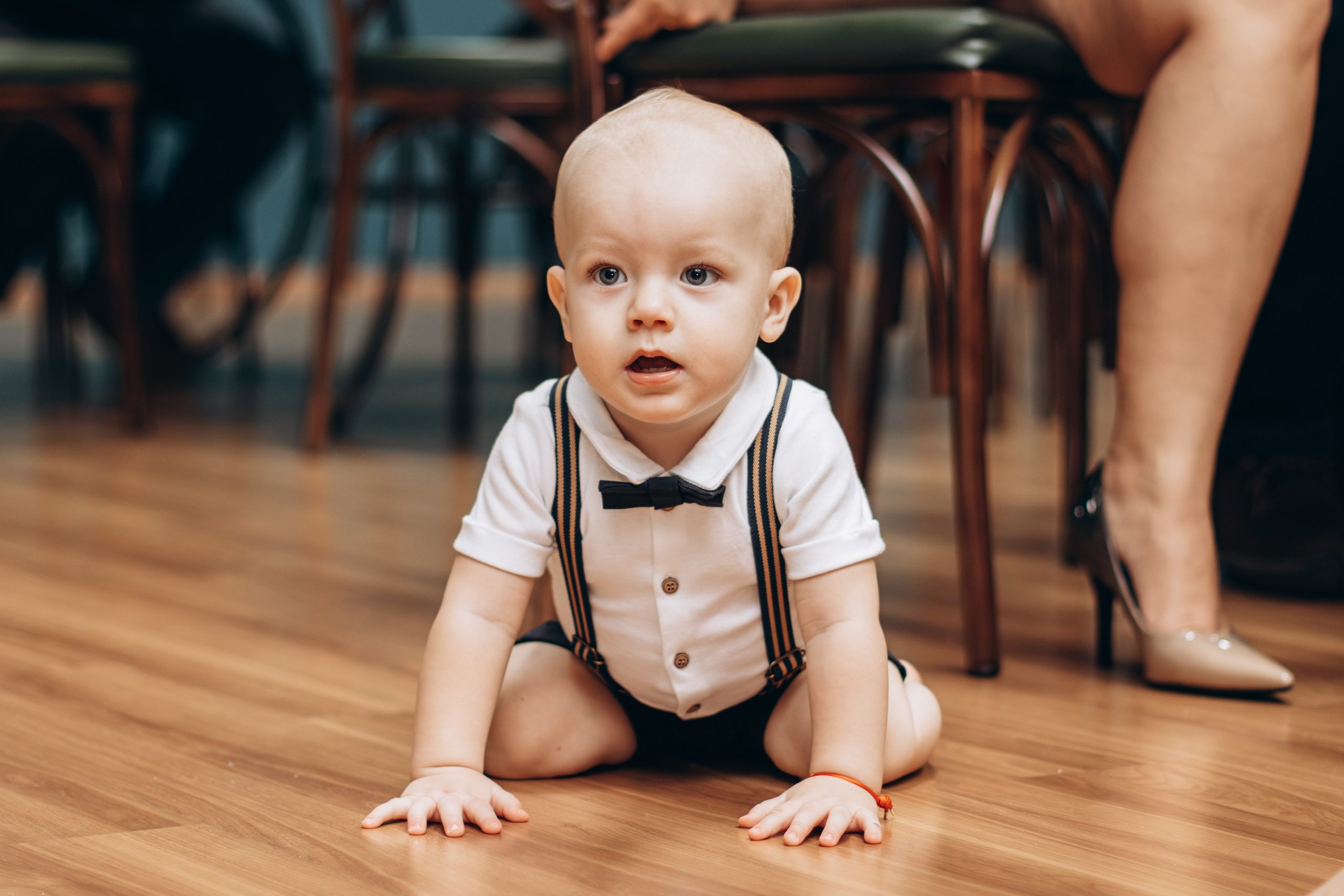 Stella — Aniversário 5 anos. Principal