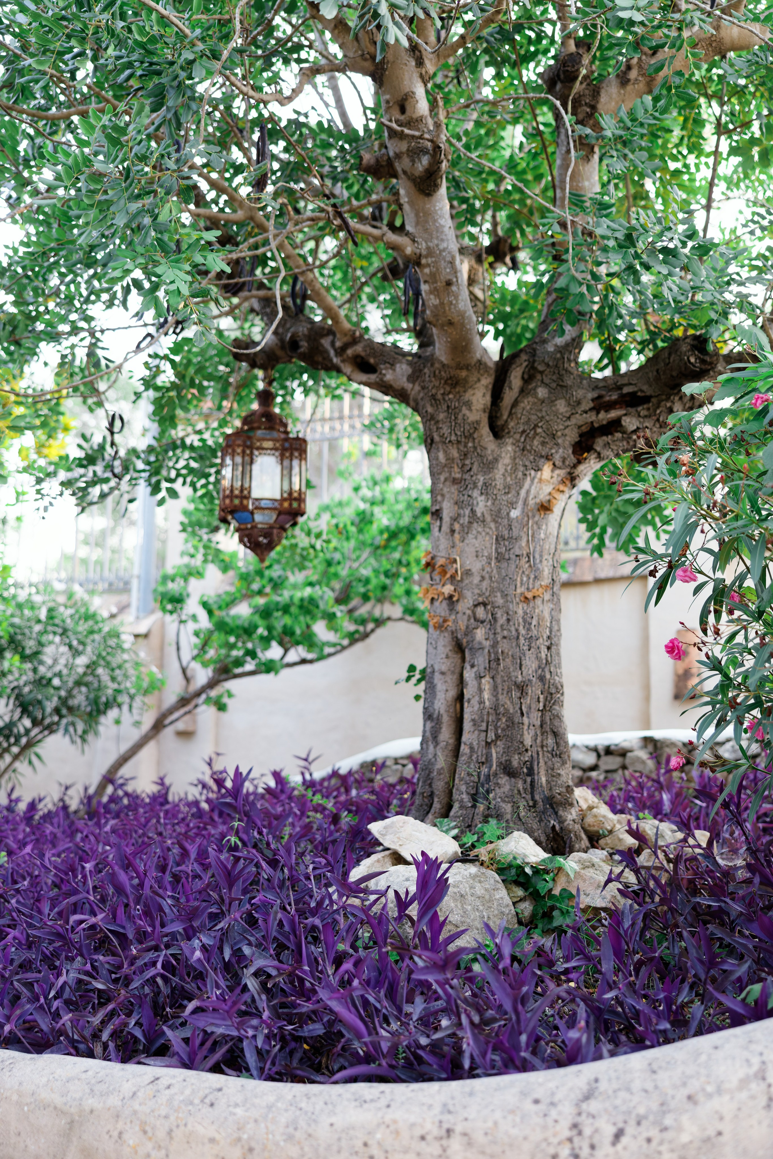 Haldi Ceremony & Mehndi Night & pre-wedding dinner, Barcelona