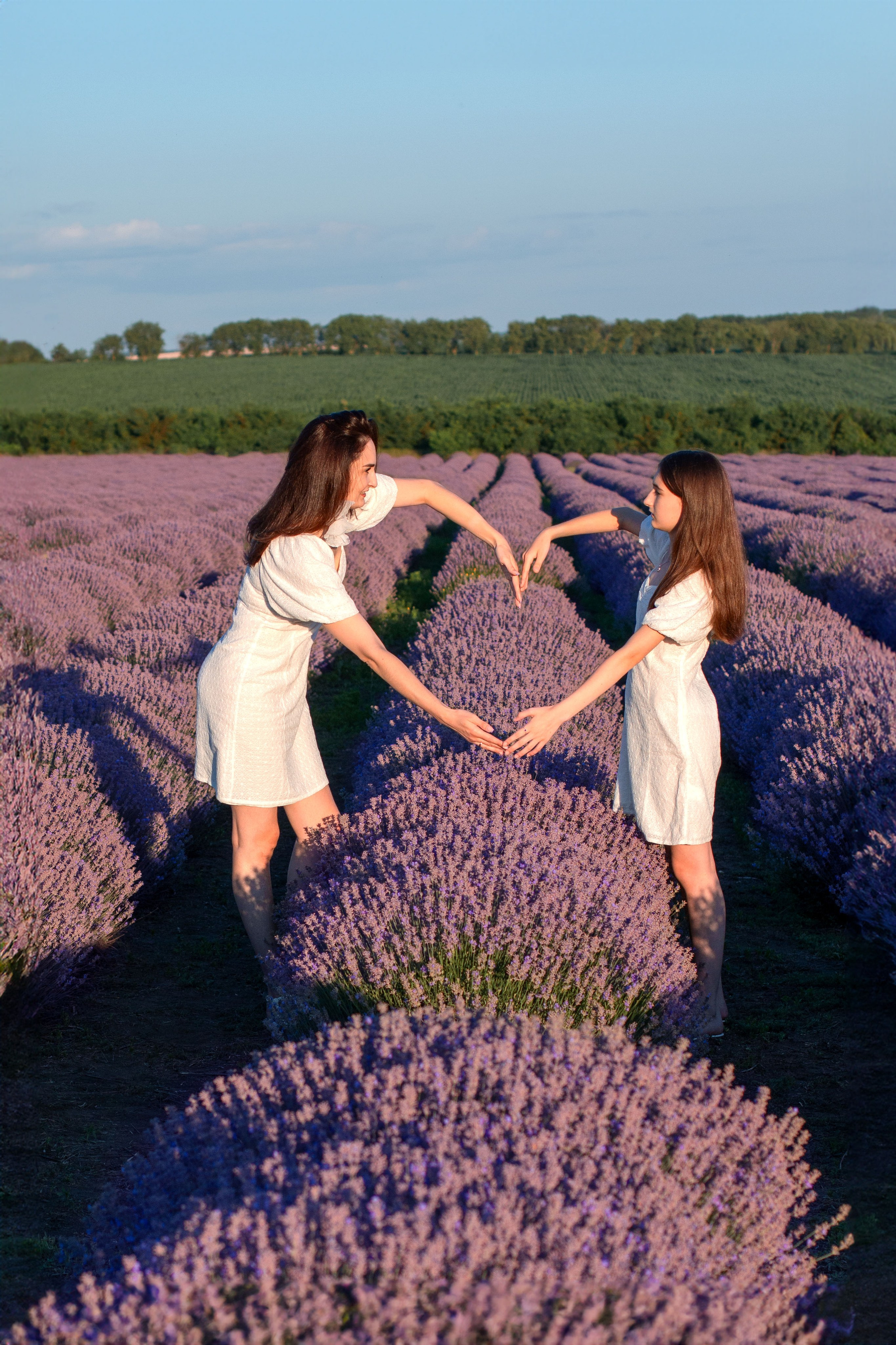 Лаванда. Детский и семейный фотограф в г. Бельцы