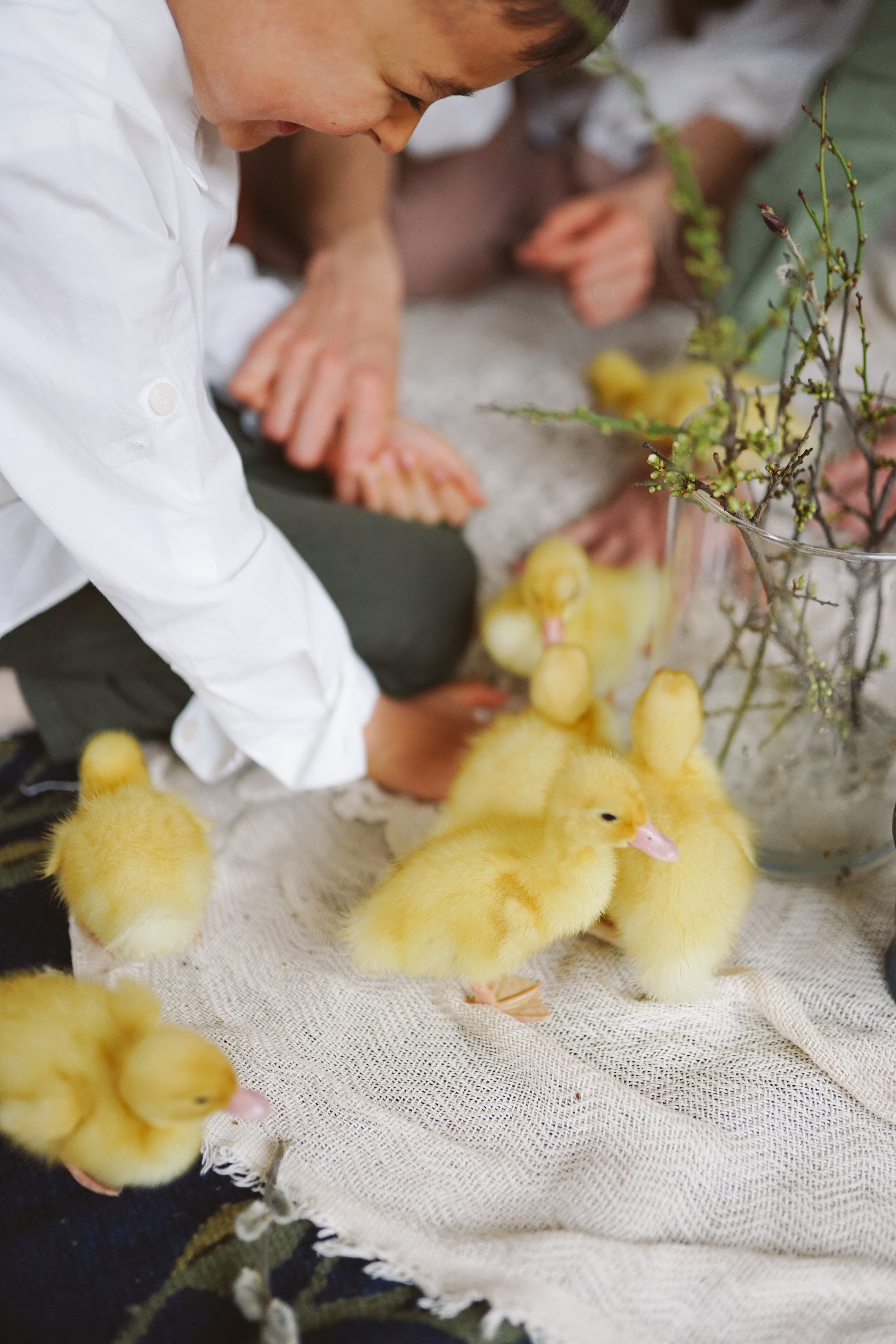 Ședințe Foto de Paște Brașov: Gălbenuș | Mădălina Beda. Madalina Beda- Artist vizual, fotograf, doula la nastere, consultant babywearing Brasov si in toata tara