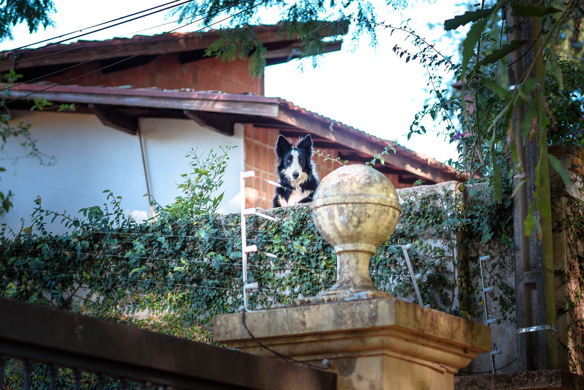 Pre Wedding Ananda e Vinicius. Fotografia de casamentos e ensaios em avaré Jônata Oliveira