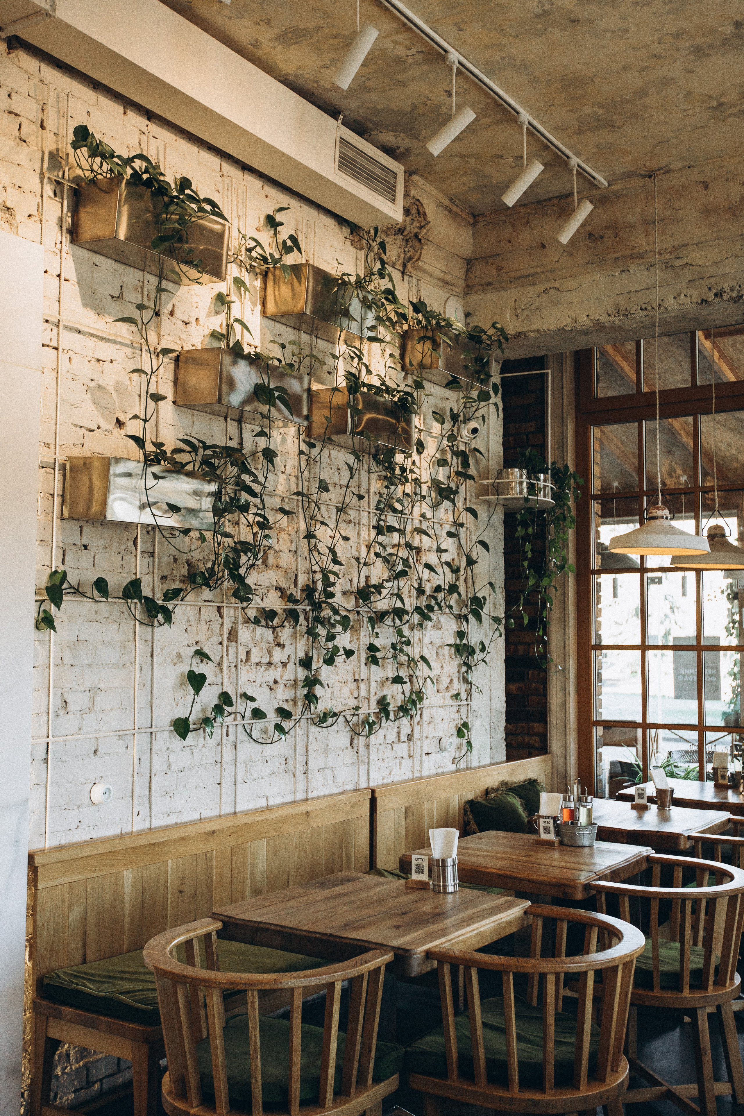 Мережа ресторанів Classic. Ірина Терещук