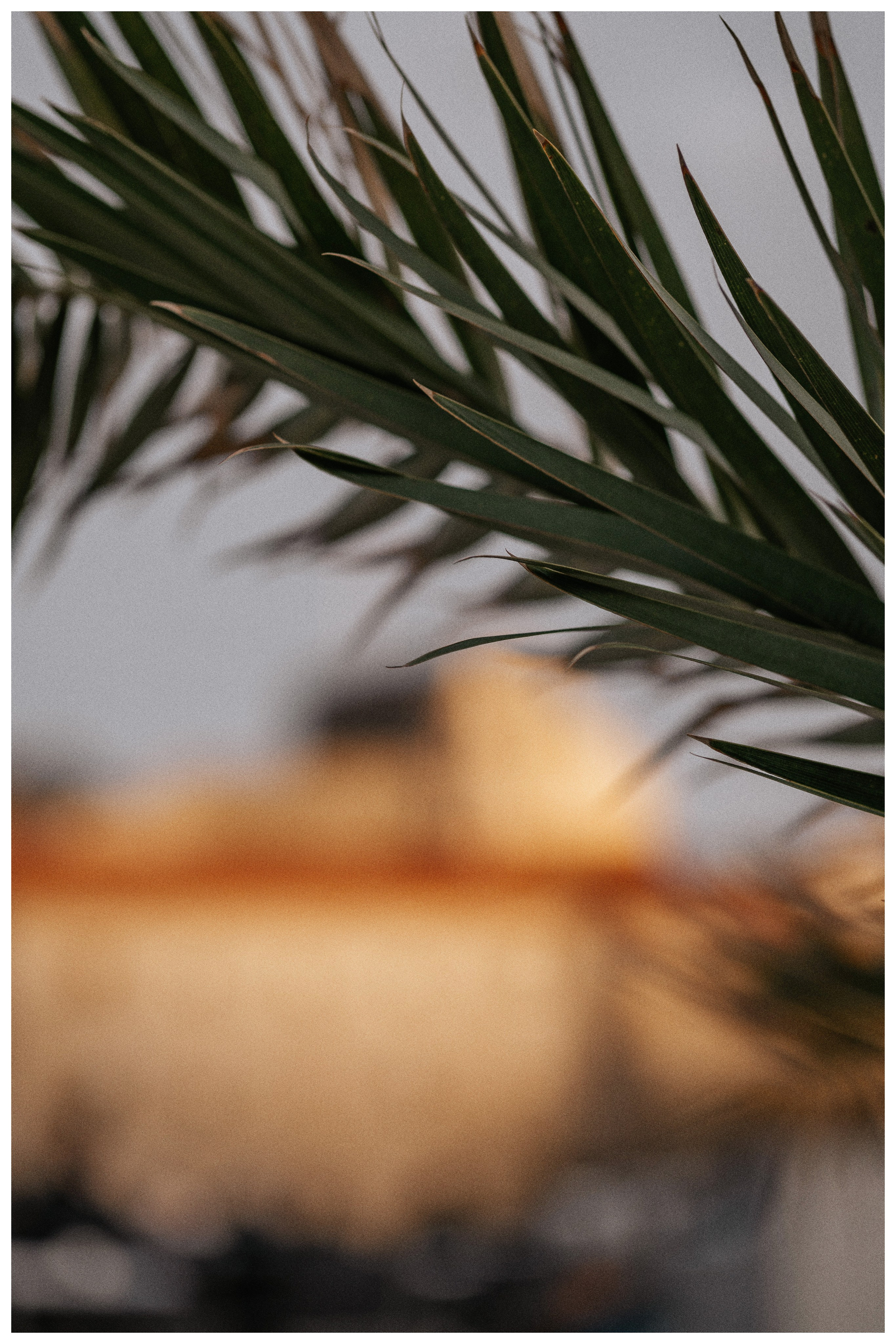 LANDSCAPE. PHOTOGRAPHER|VIDEOGRAPHER MONTENEGRO