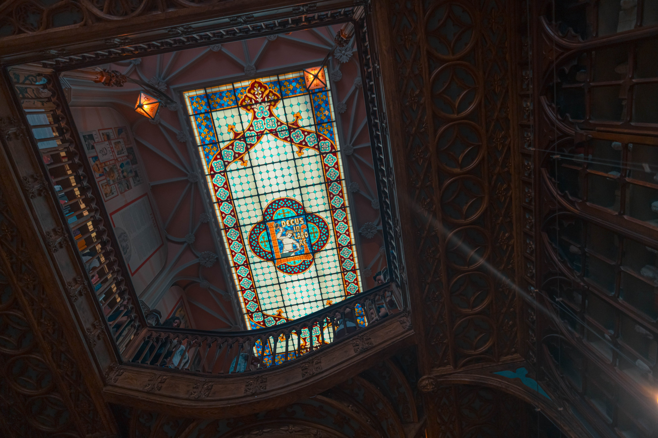 Librería Lello, Porto. Alba del Norte Studio