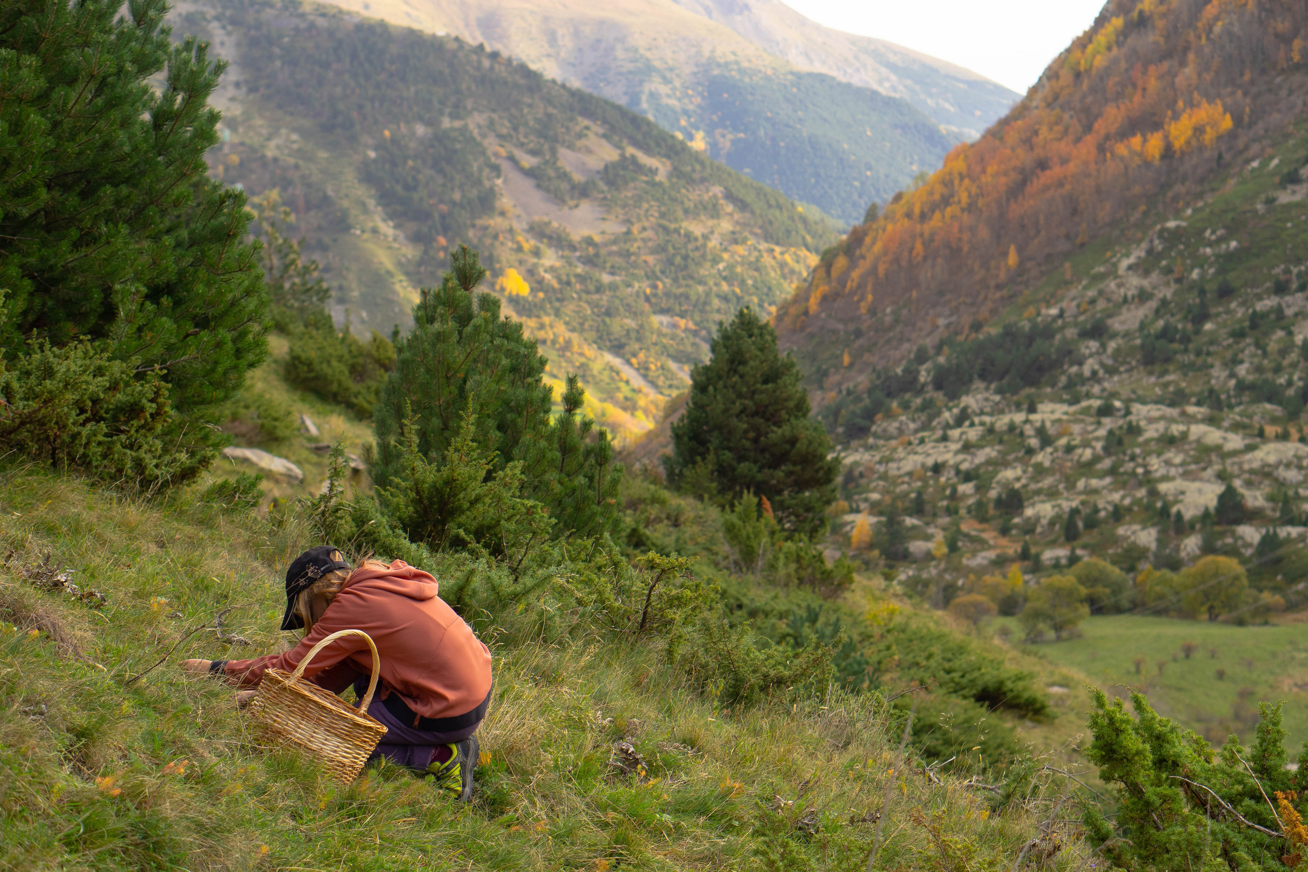 Vall Fosca en otoño. Alba del Norte Studio