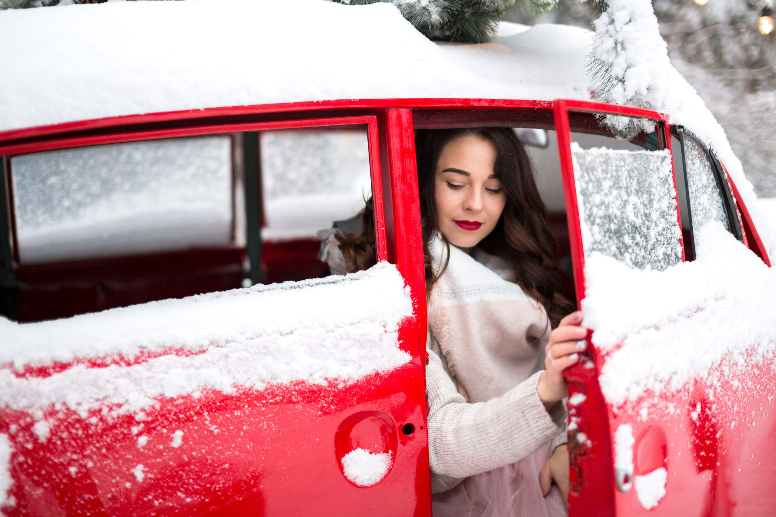 Winter Love. Wedding and Family Photograph