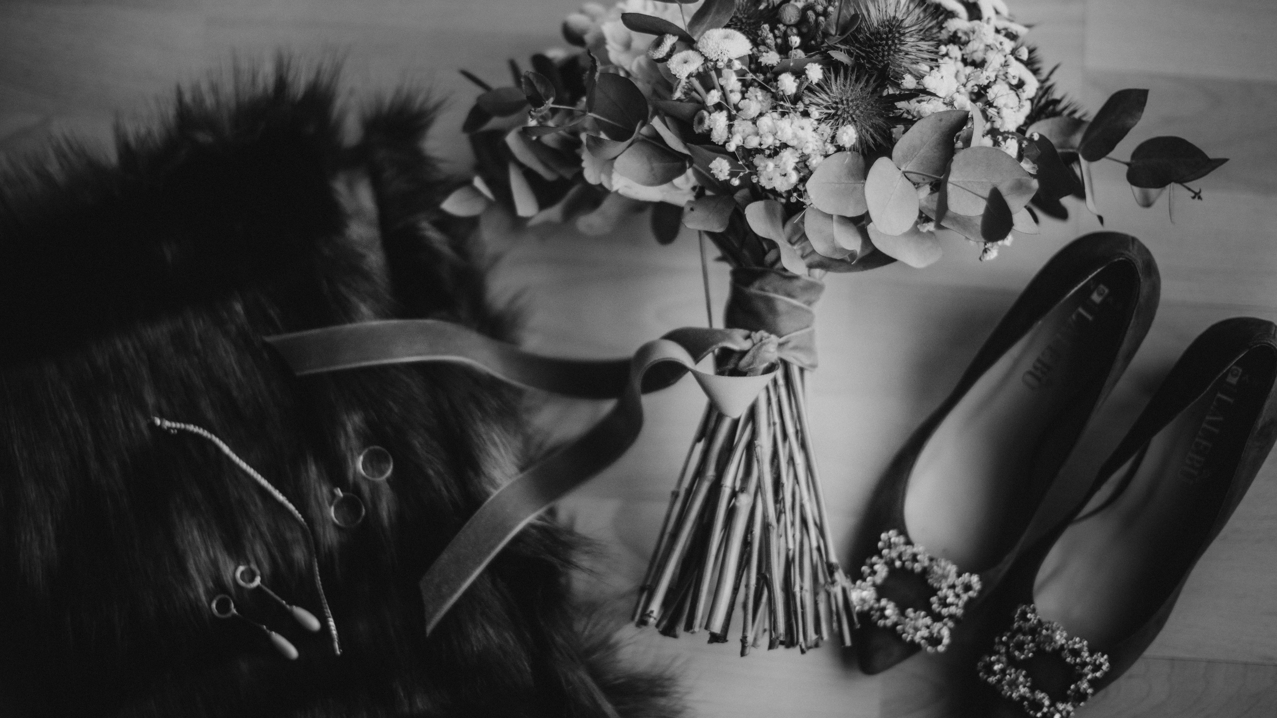 INICIO (copia segu 1). Josep Gil - fotografia