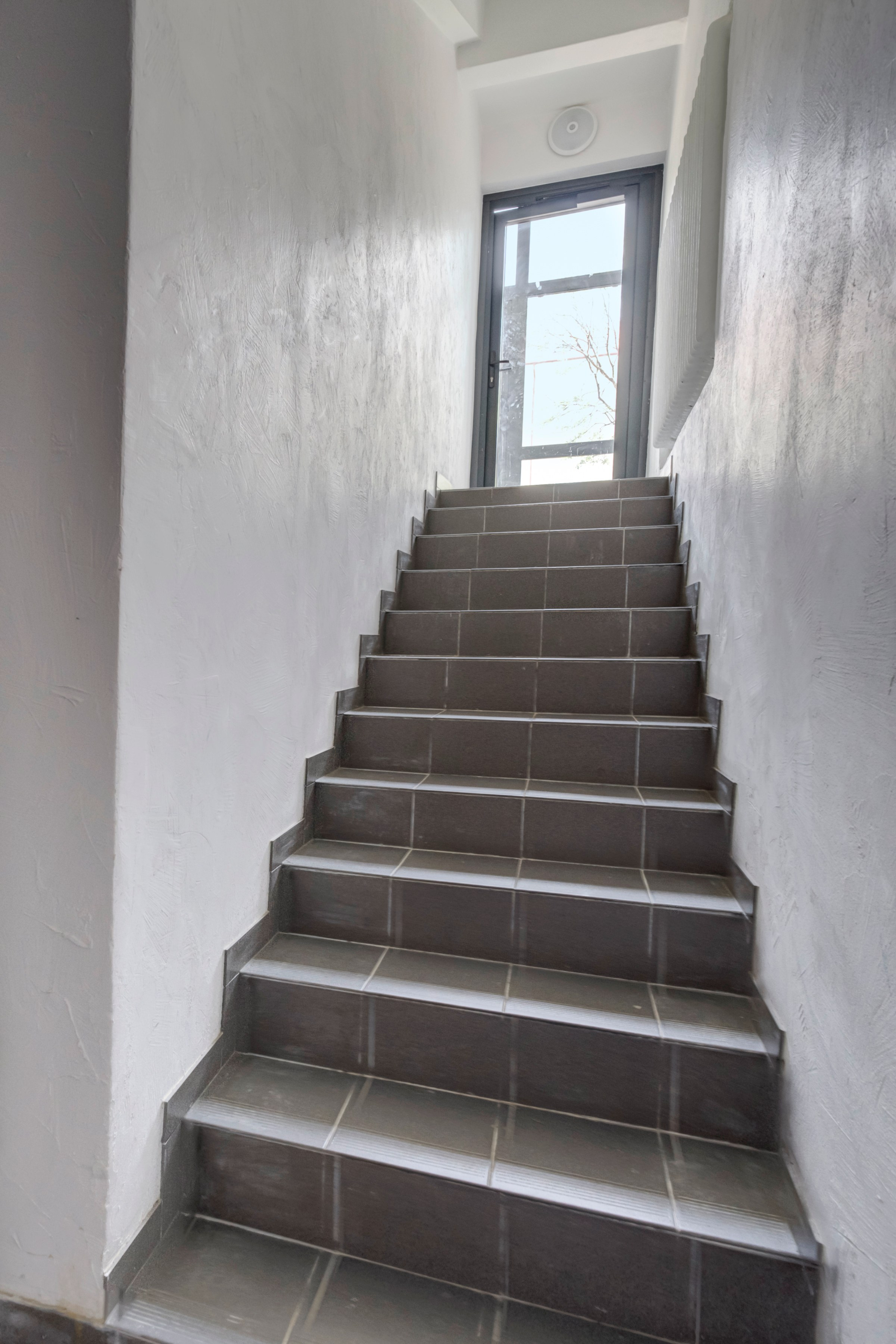 Studentų g. 41. Elina Sapiega fotografė Vilniuje