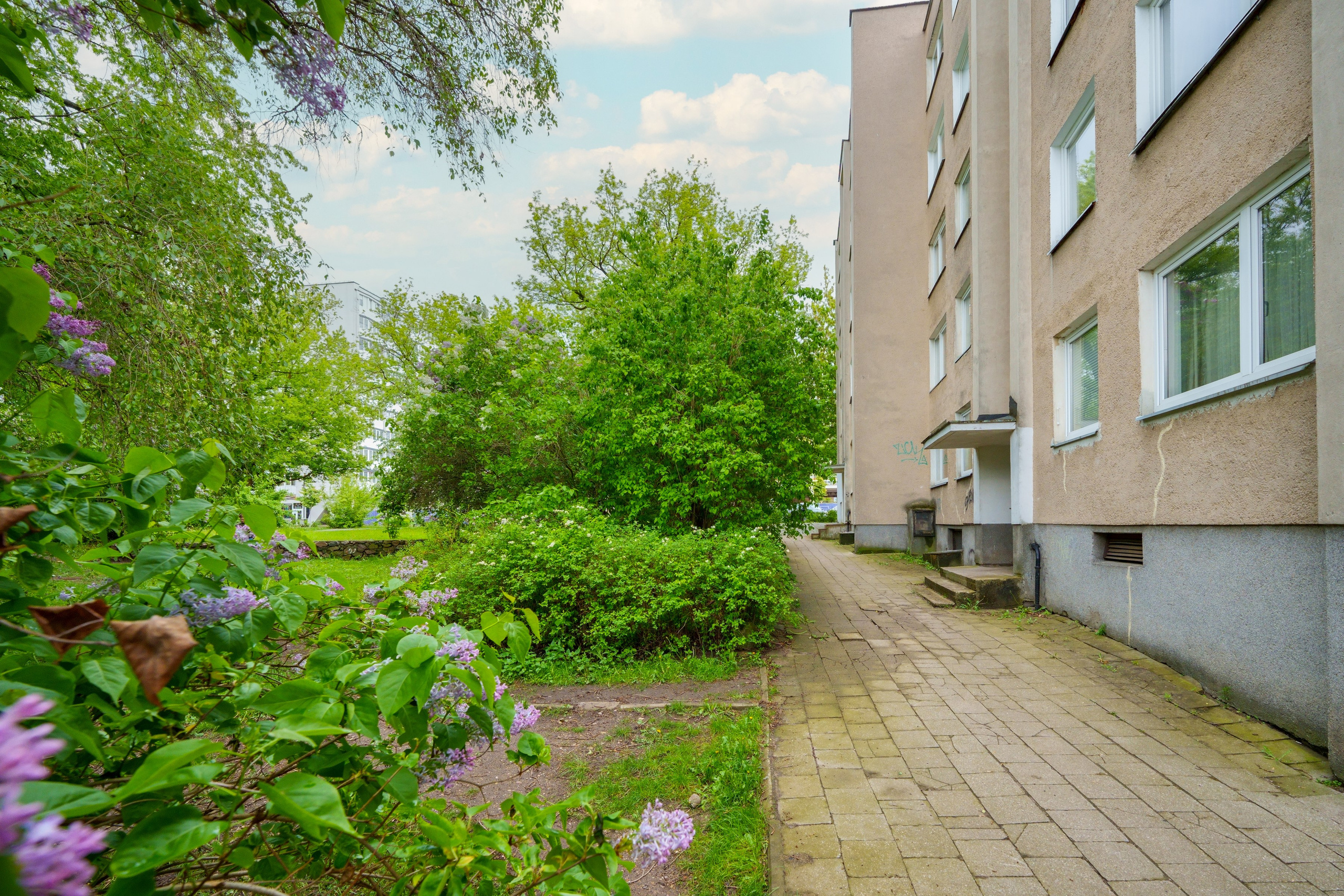 Antakalnio g. 64. Elina Sapiega fotografė Vilniuje