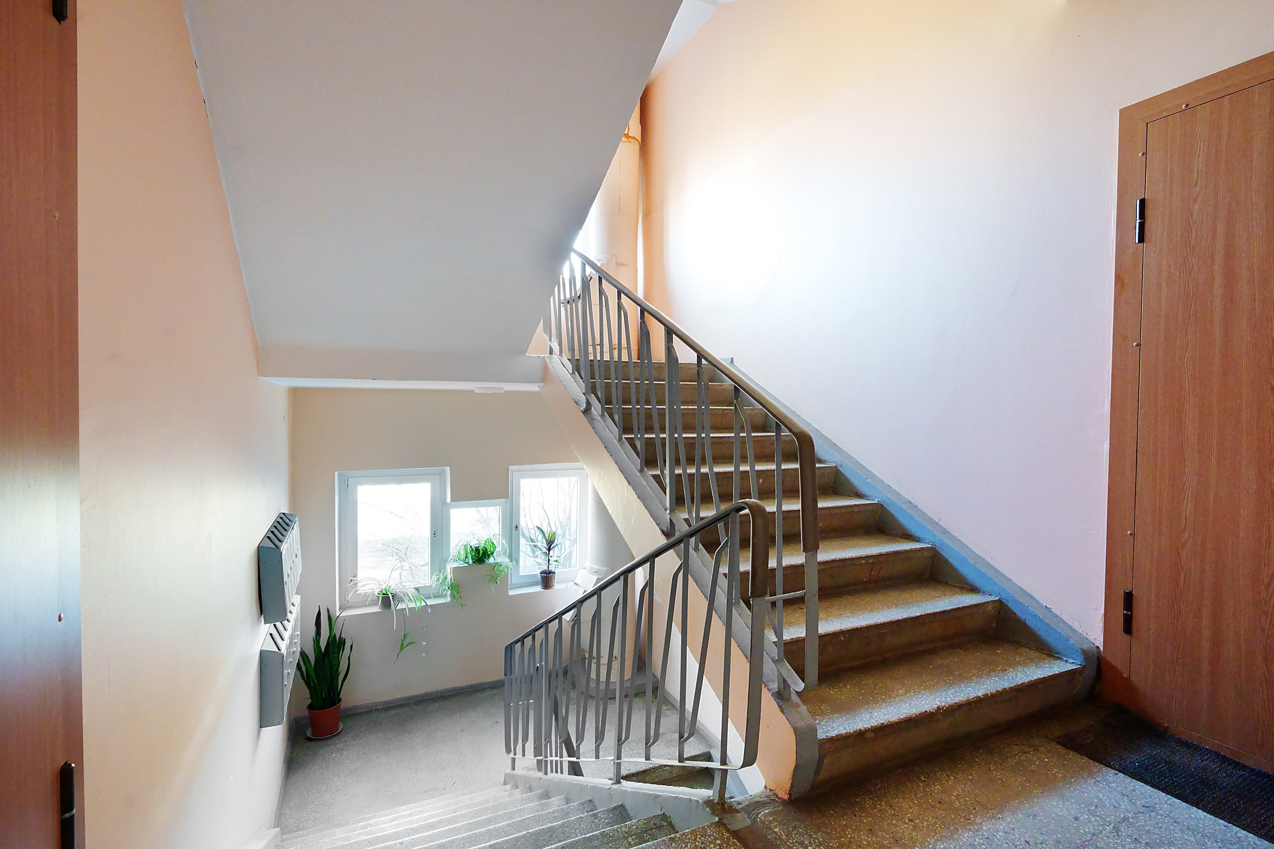 Gelvonų g. 50. Elina Sapiega fotografė Vilniuje